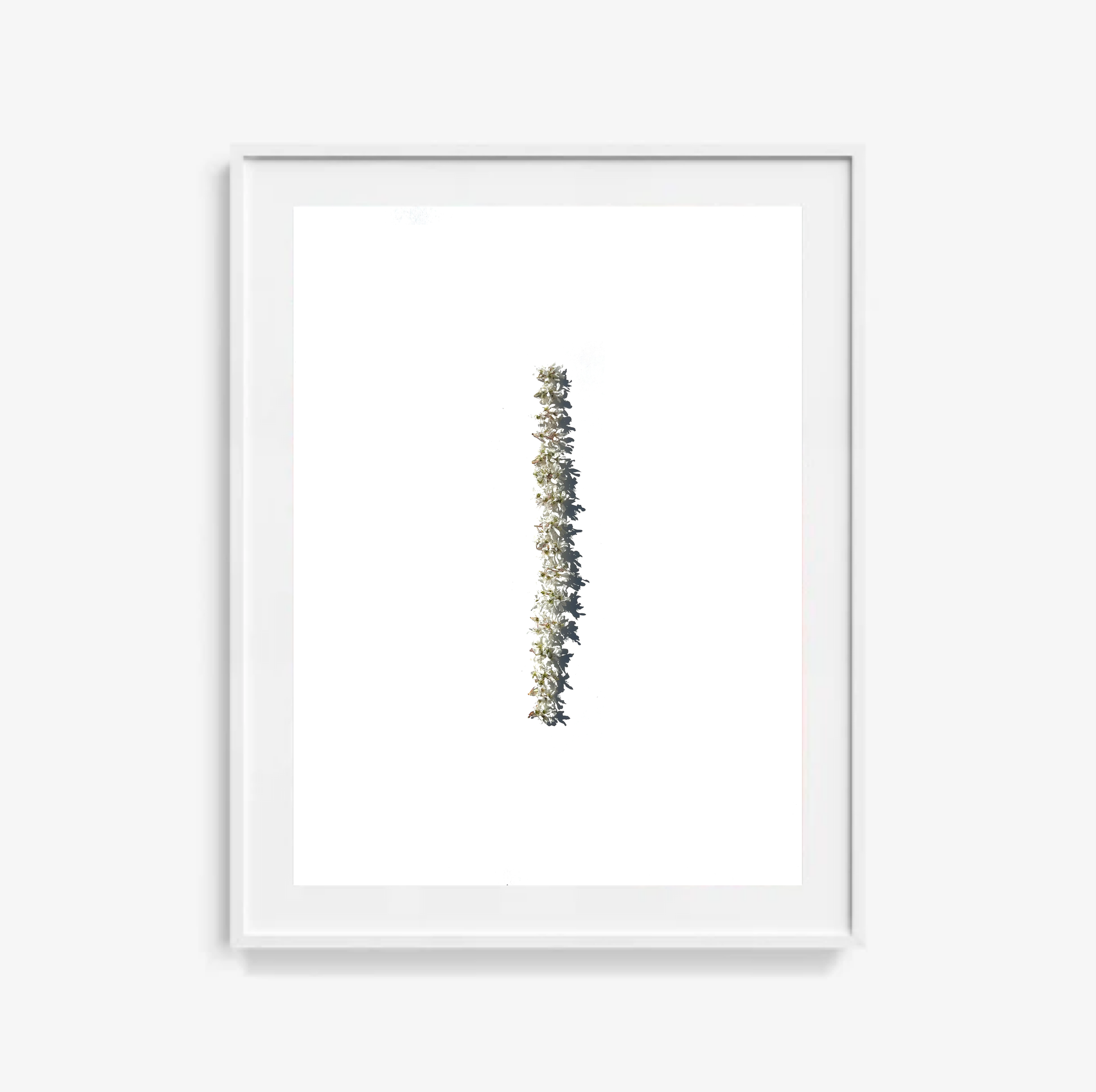 Juneberry No.3 / Art Print