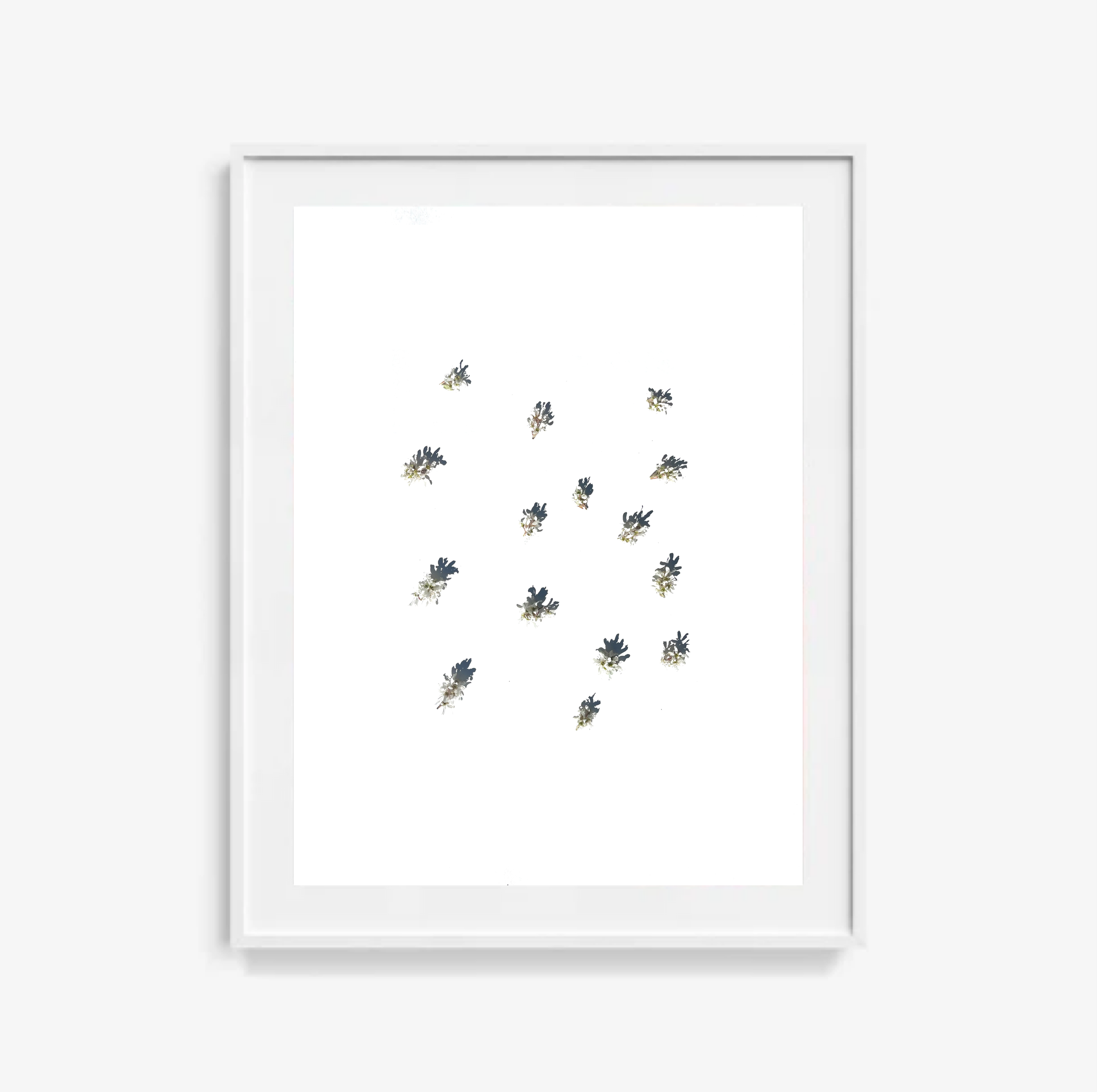 Juneberry No.4 / Art Print