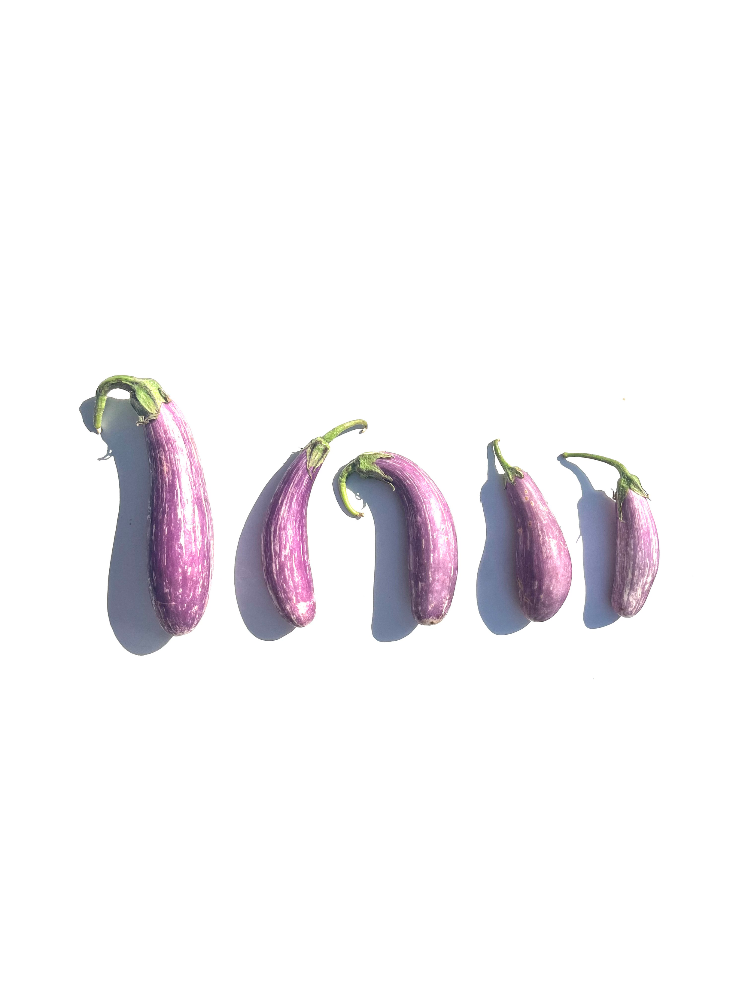 fairy tale eggplant no.2