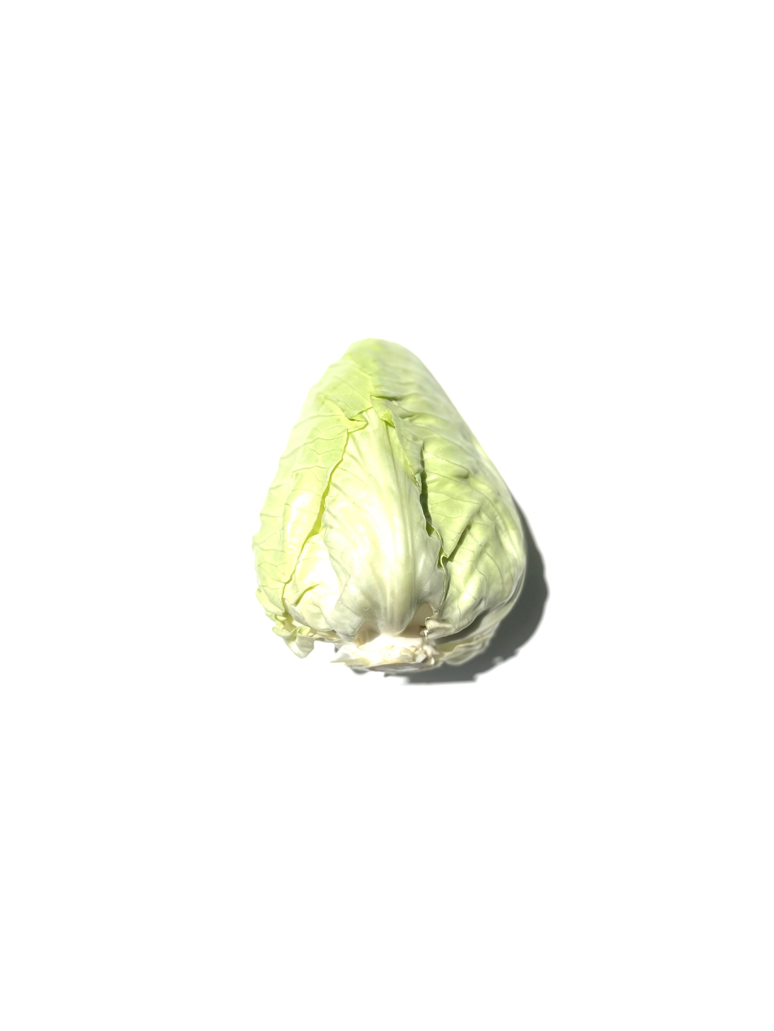 cabbage no.1