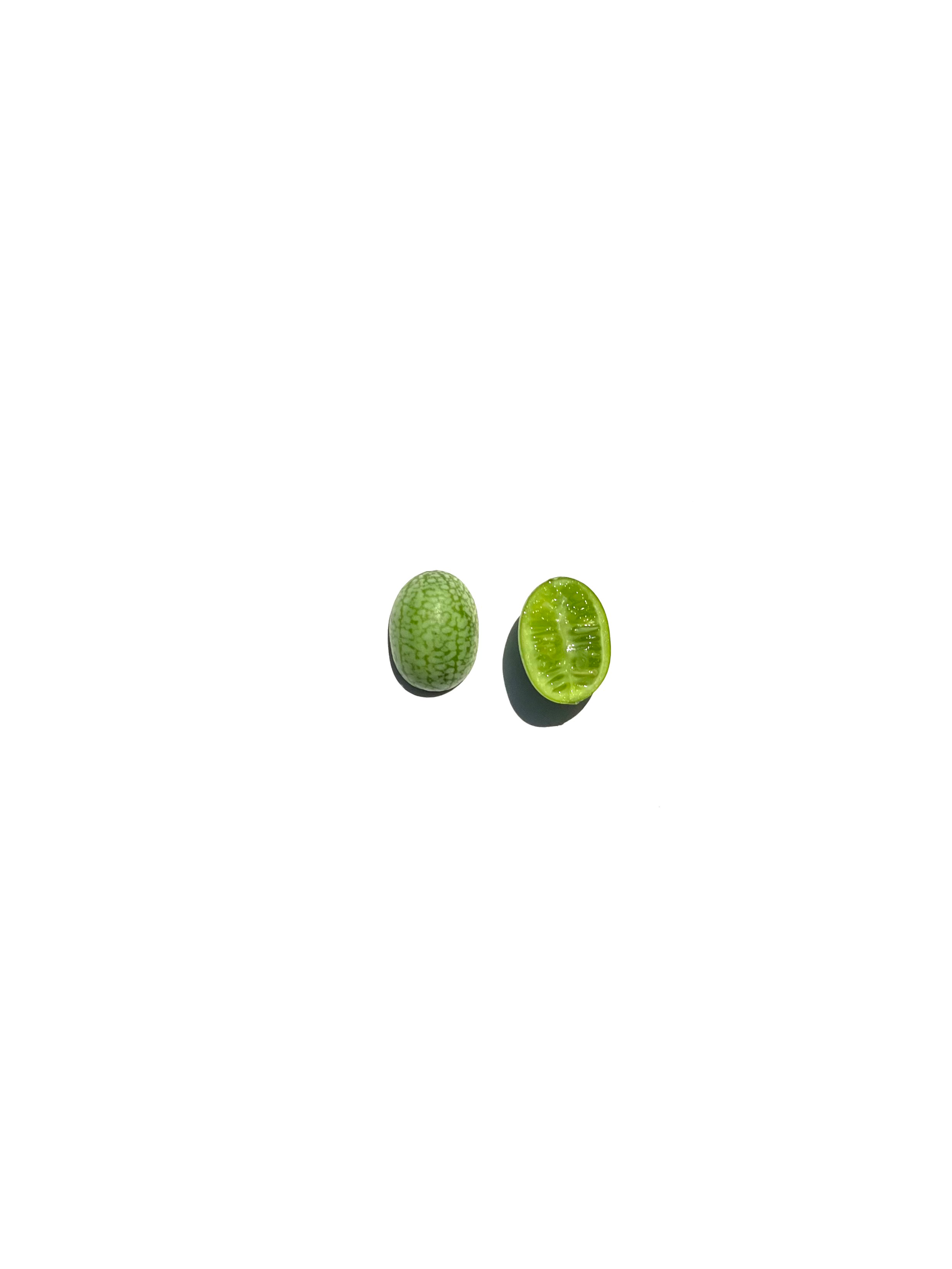 cucamelon no.1