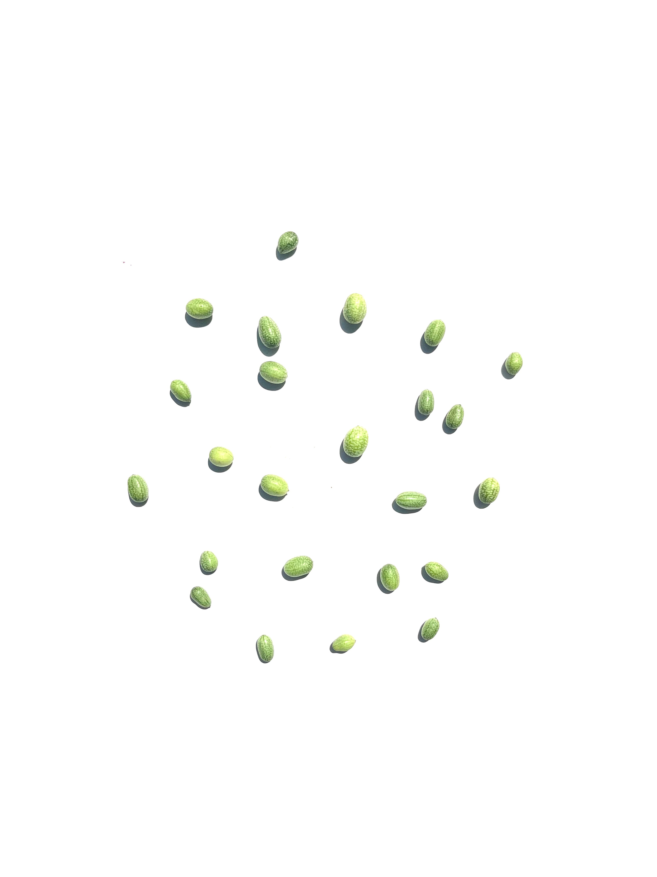 cucamelon no.4