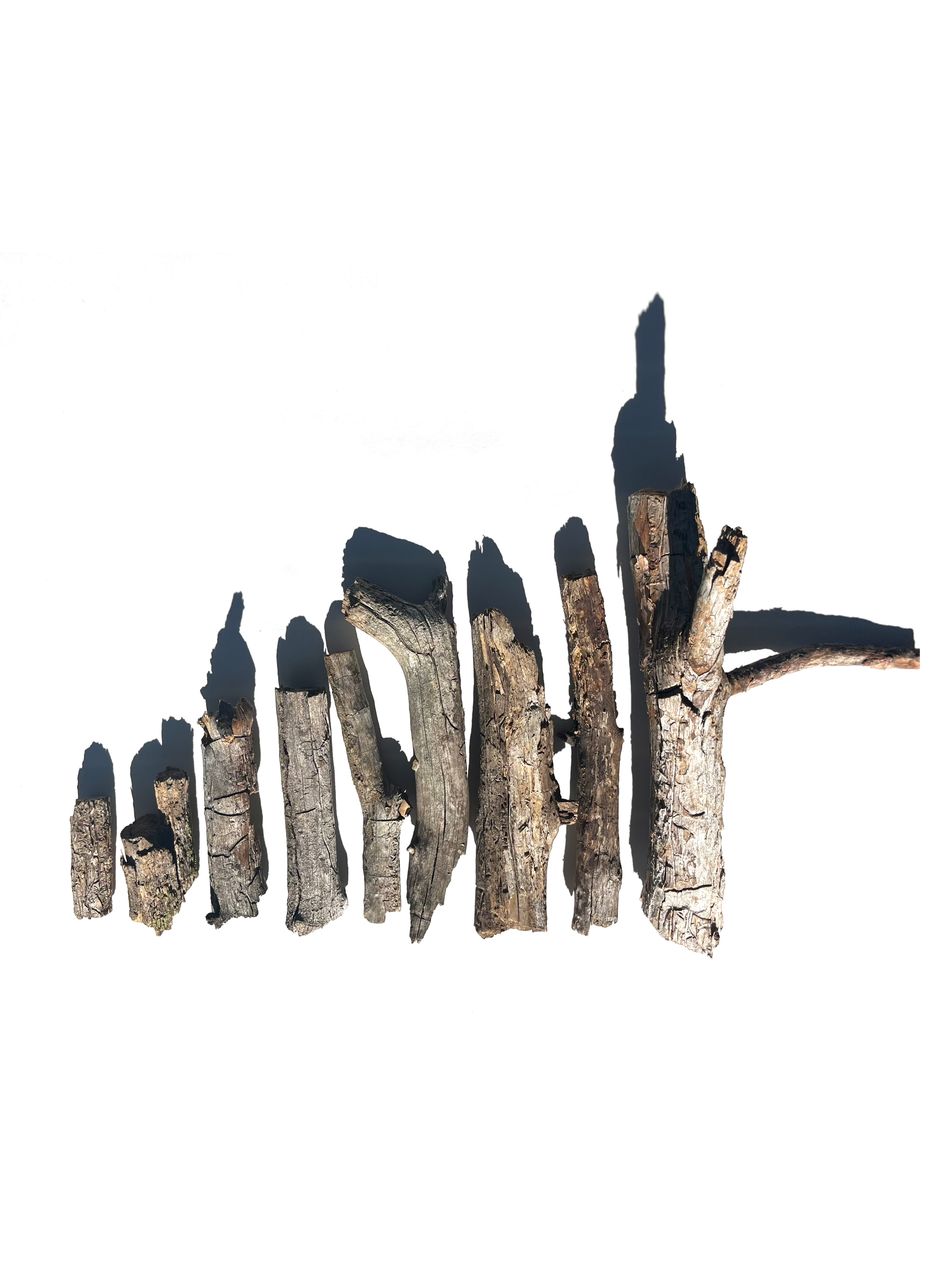 wood no.2