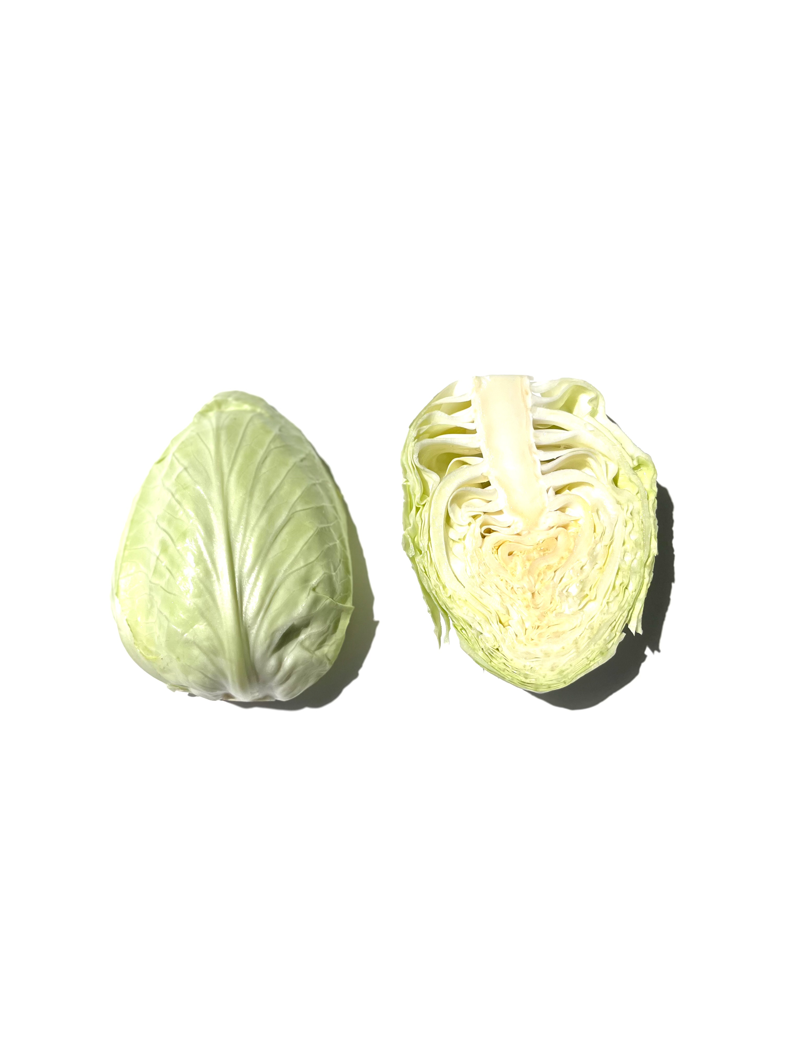 cabbage no.2