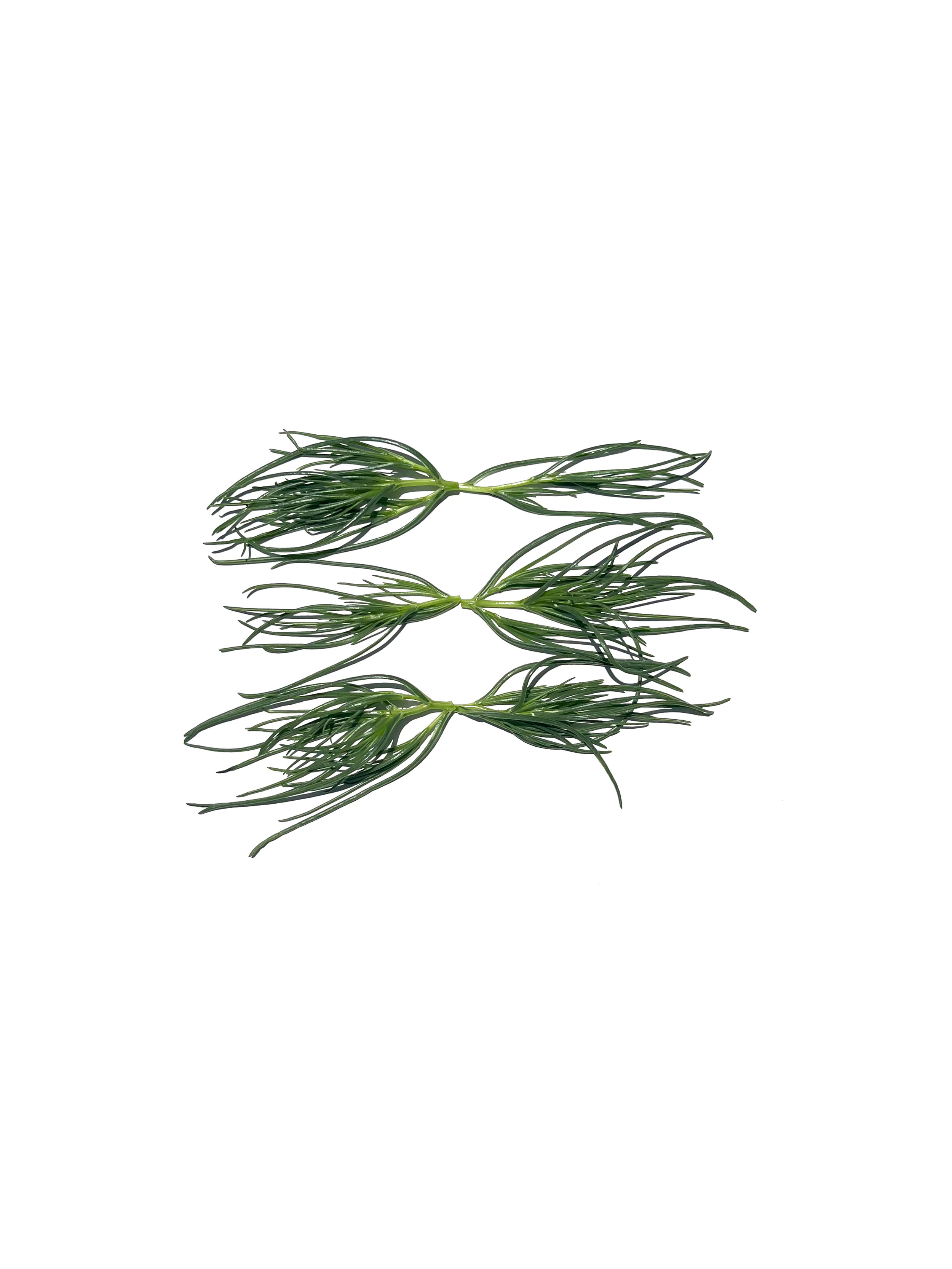 agretti no.6