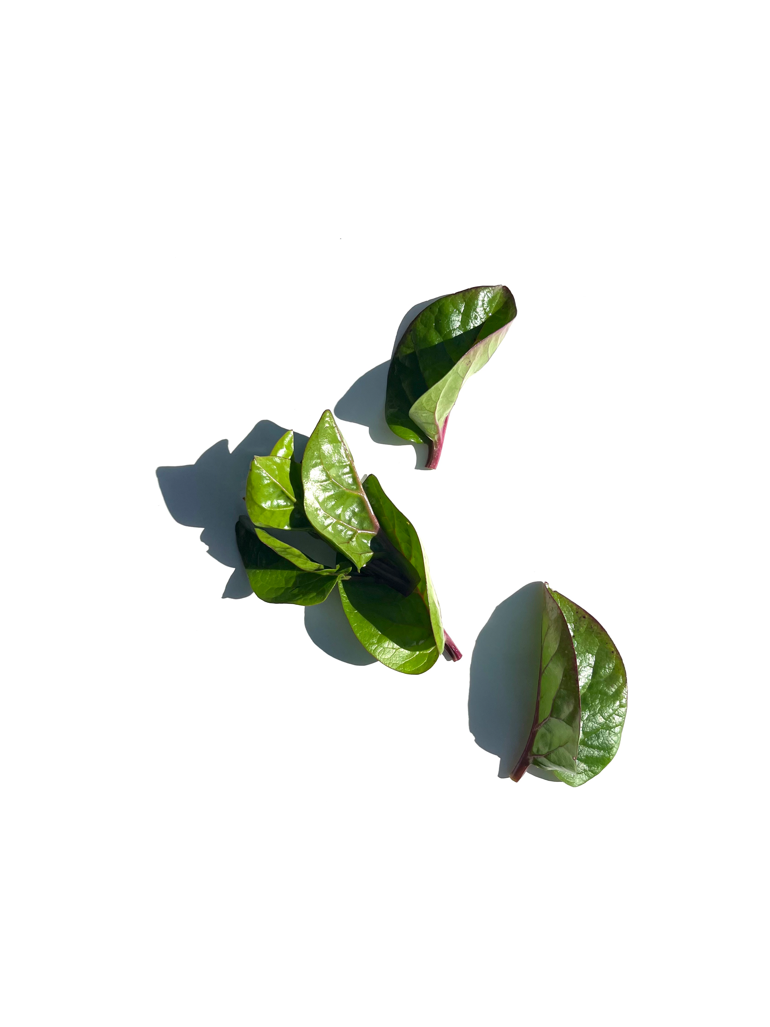 Spinach series