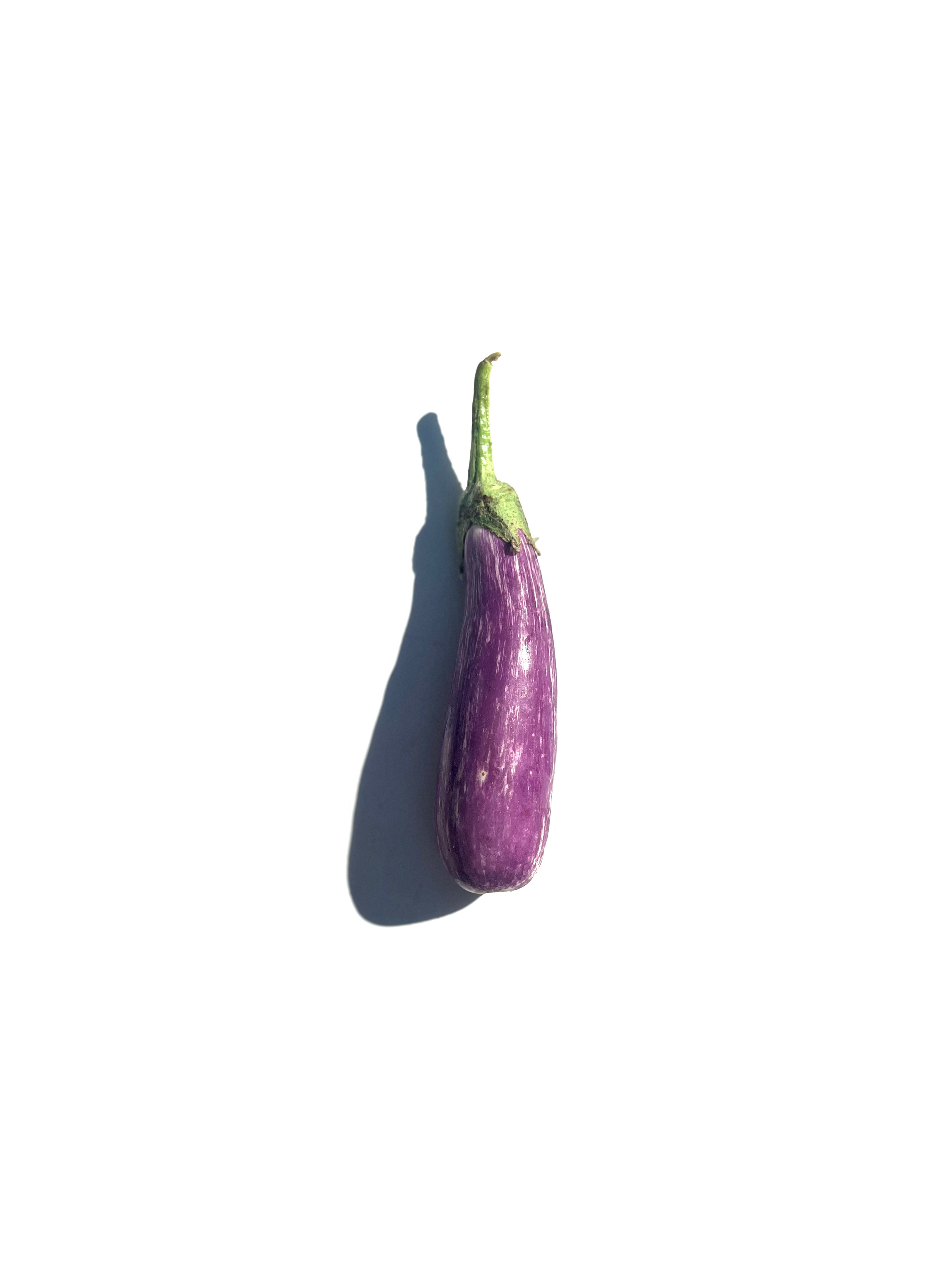 fairy tale eggplant no.1