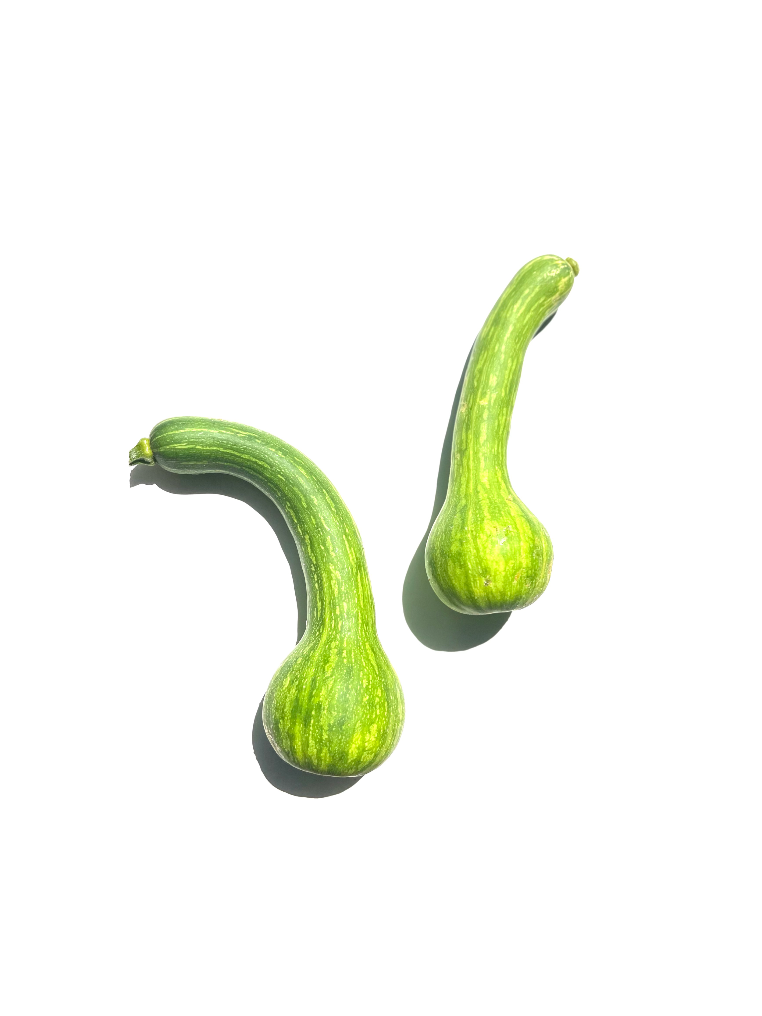 tromboncino no.2