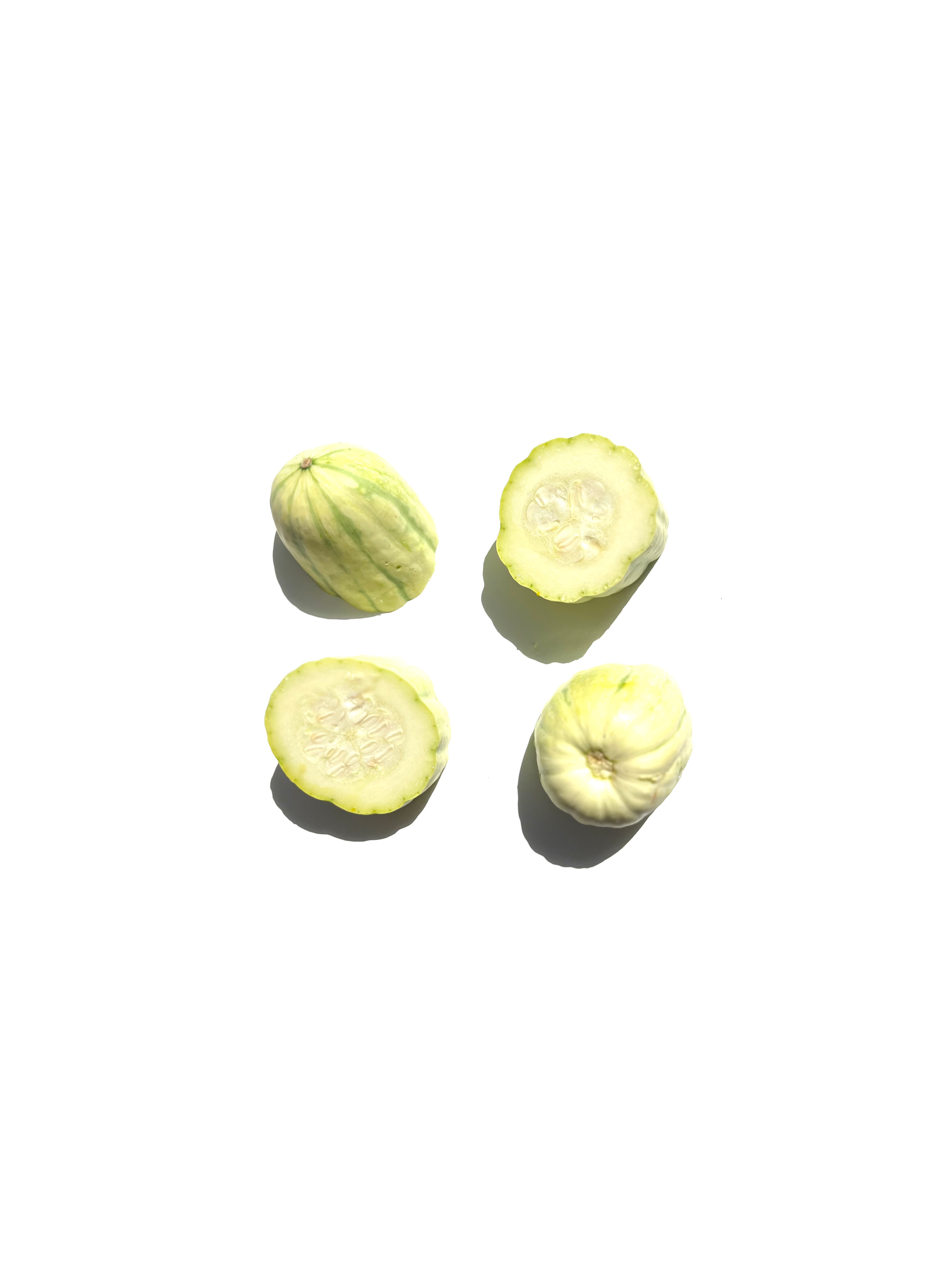 tetra squash no.3