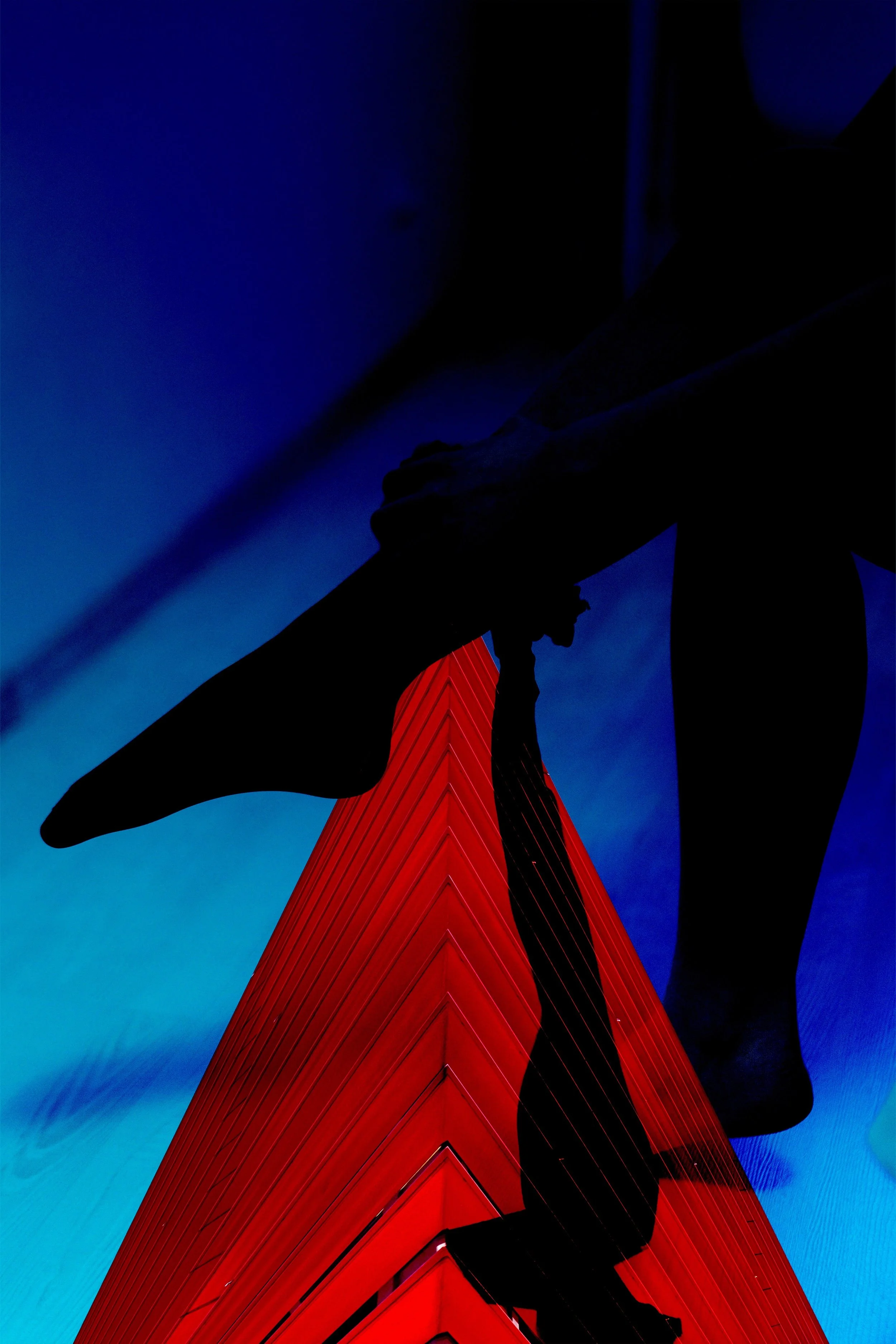 N.JPG
