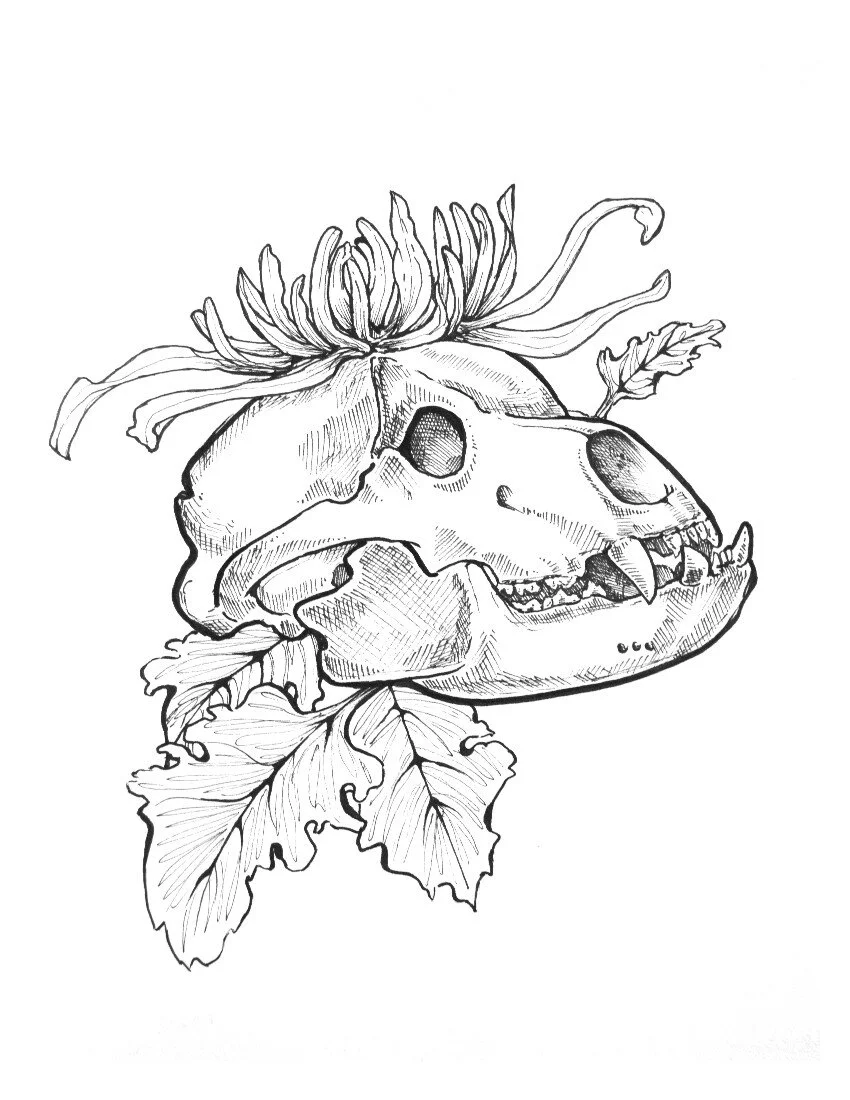 BearSkull8x10.JPG