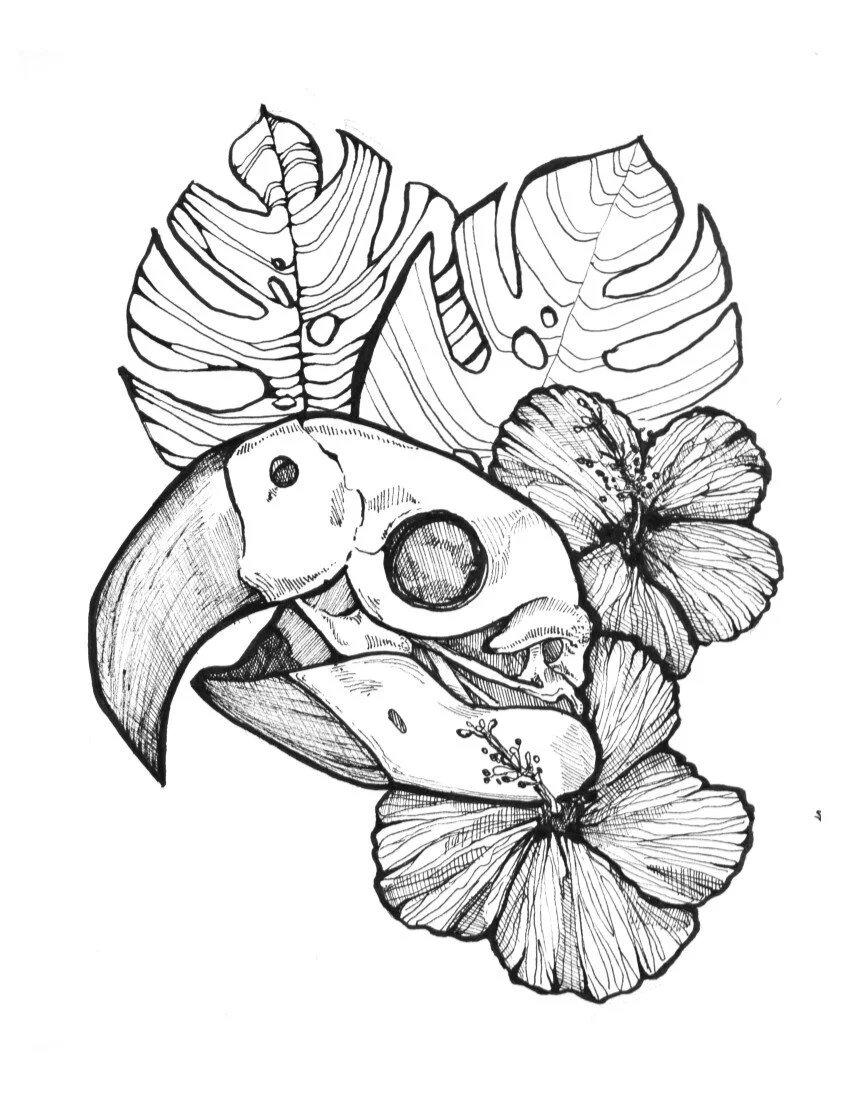 ParrotSkull8x10.JPG