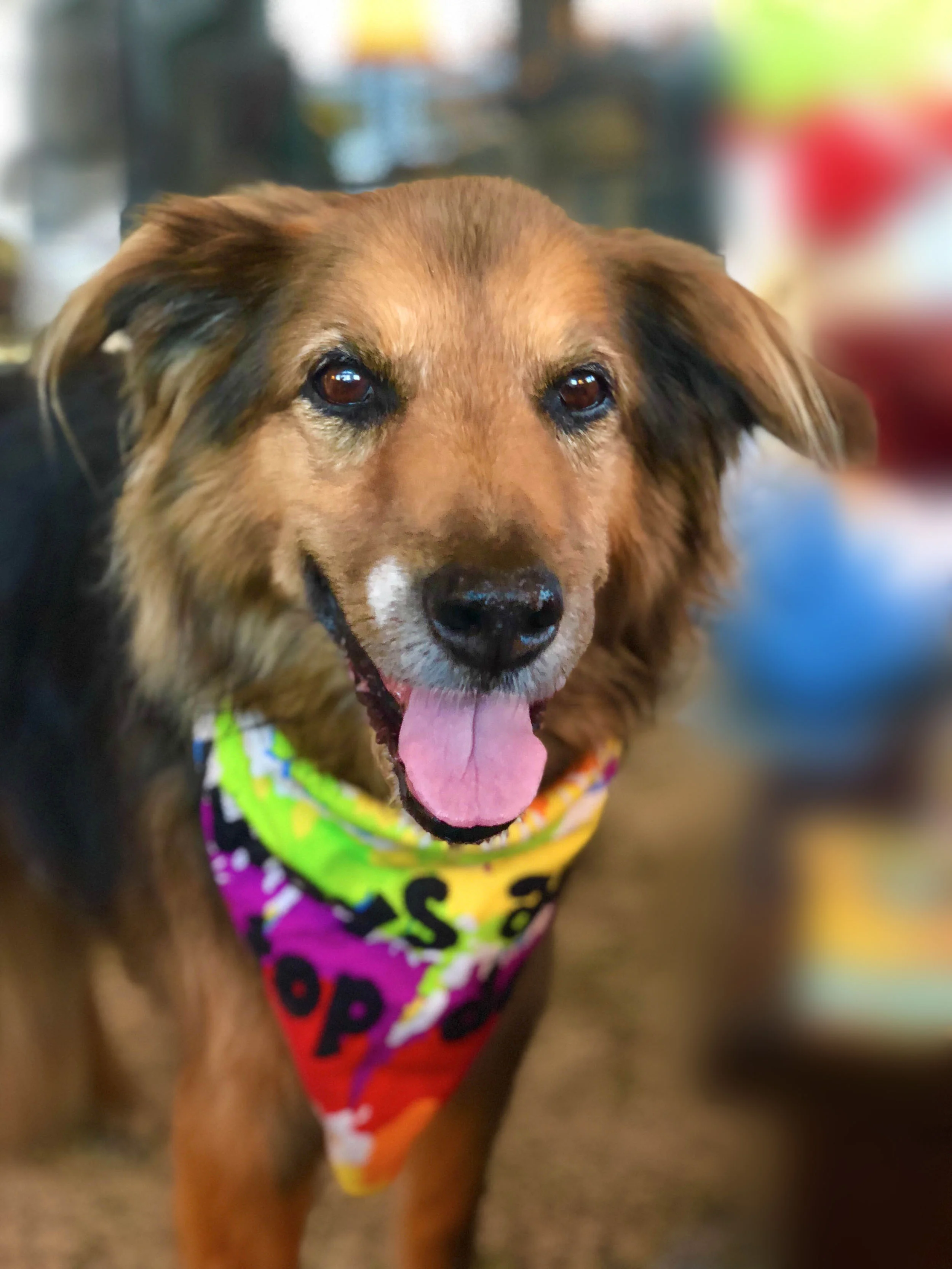 Home page low Q .jpg