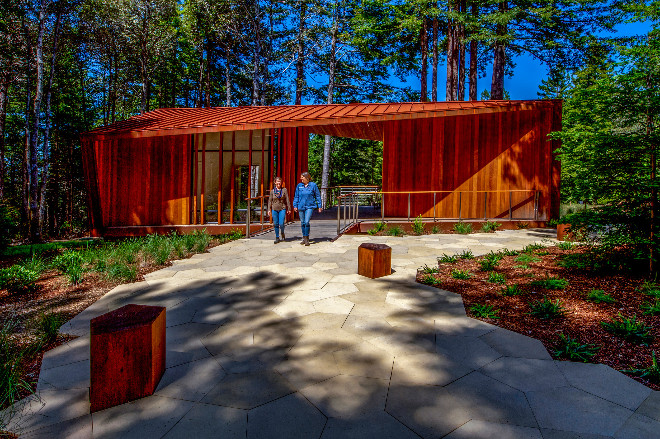 Better Place Forests: Point Arena