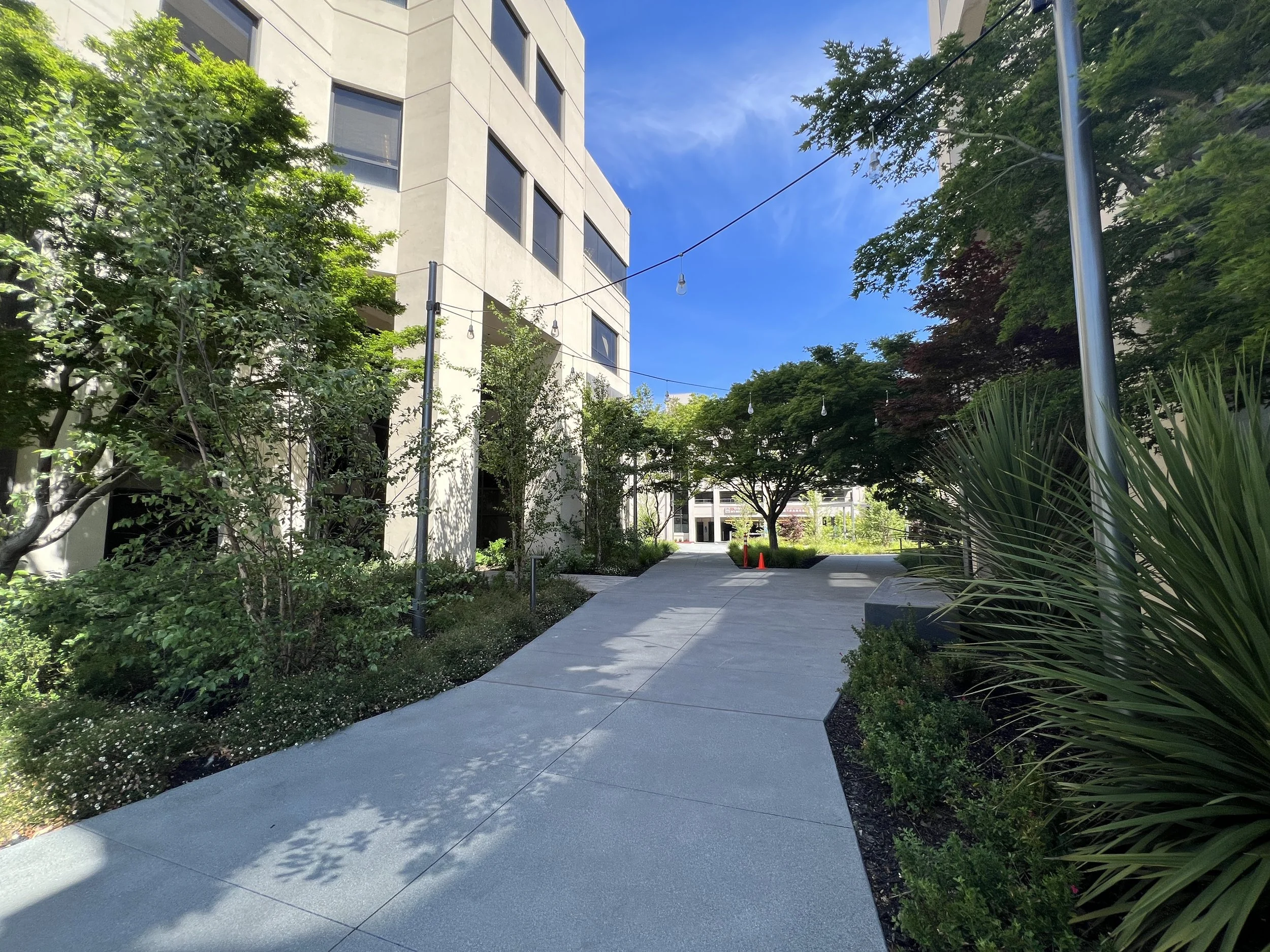 Marshall Square — Fletcher Studio