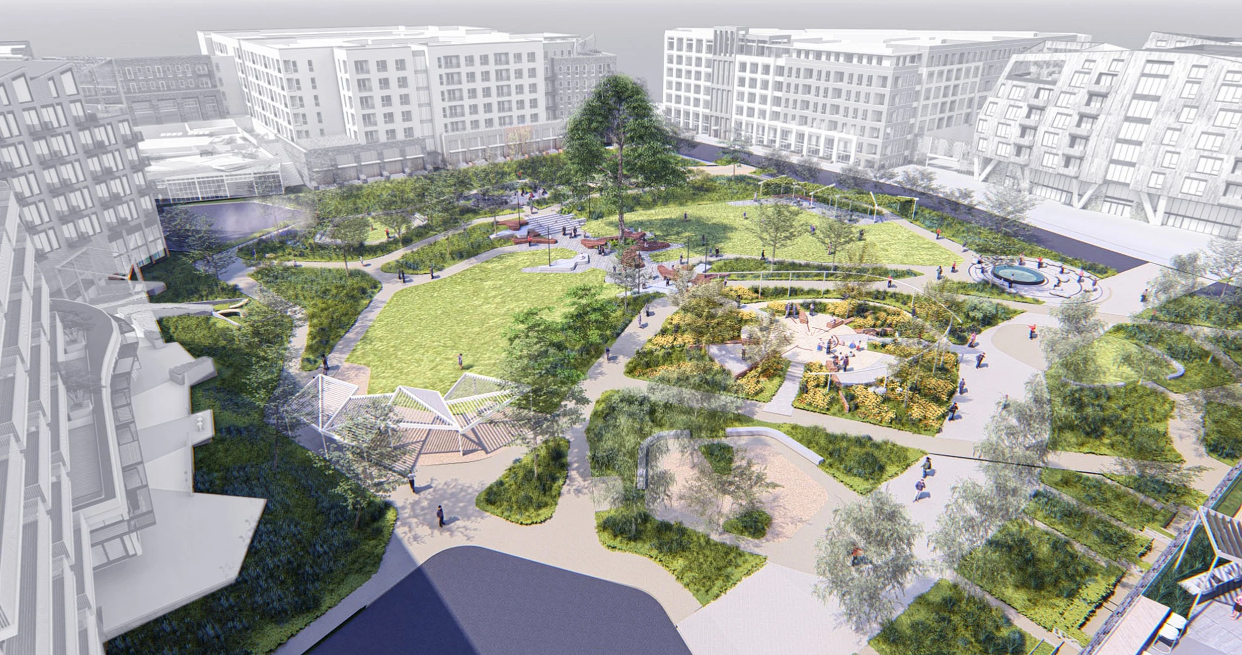 Perspective Looking North.jpg