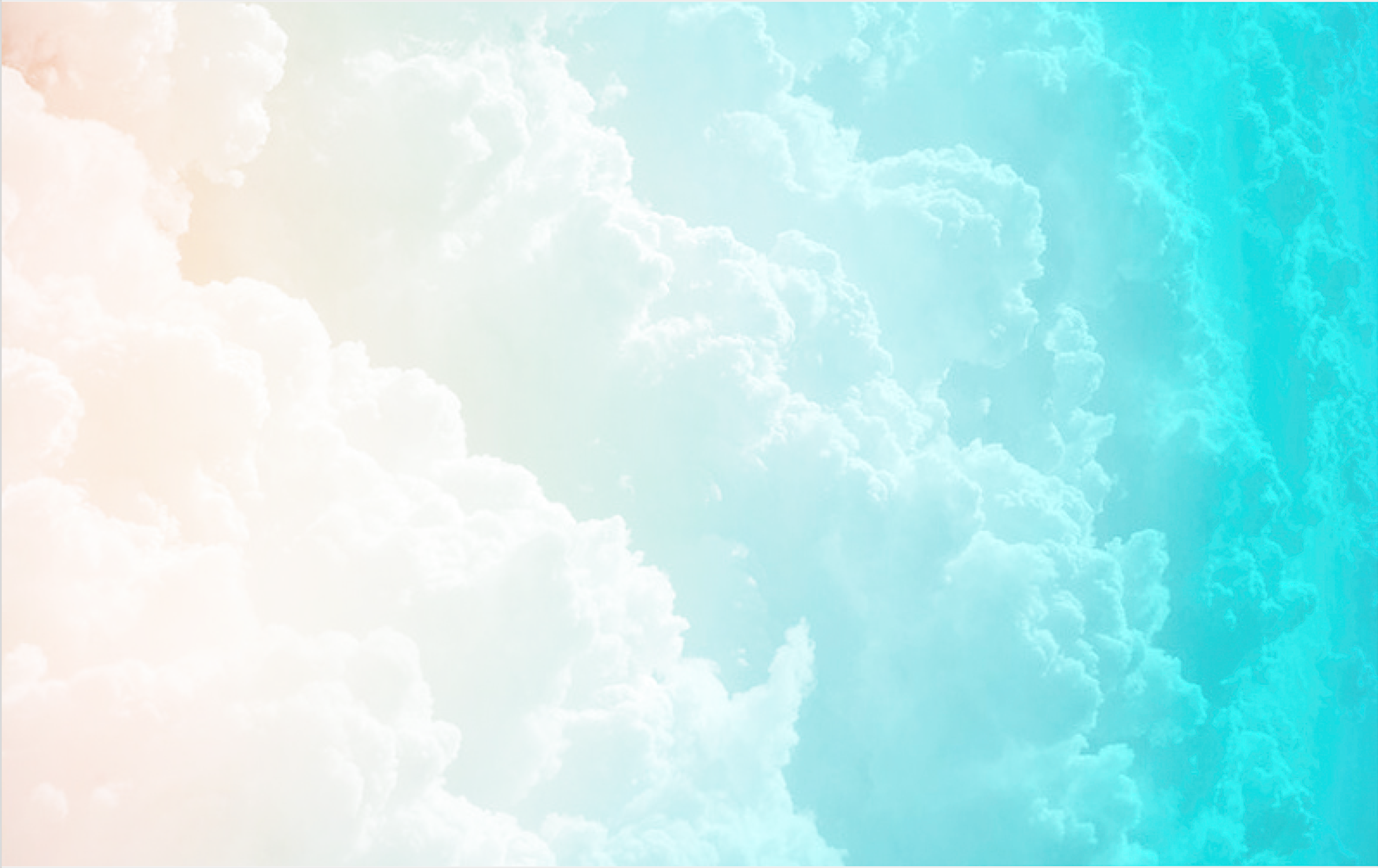 28548252_10156569818103968_1209021462_o.png