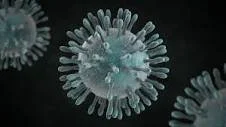 Human Coronovirus