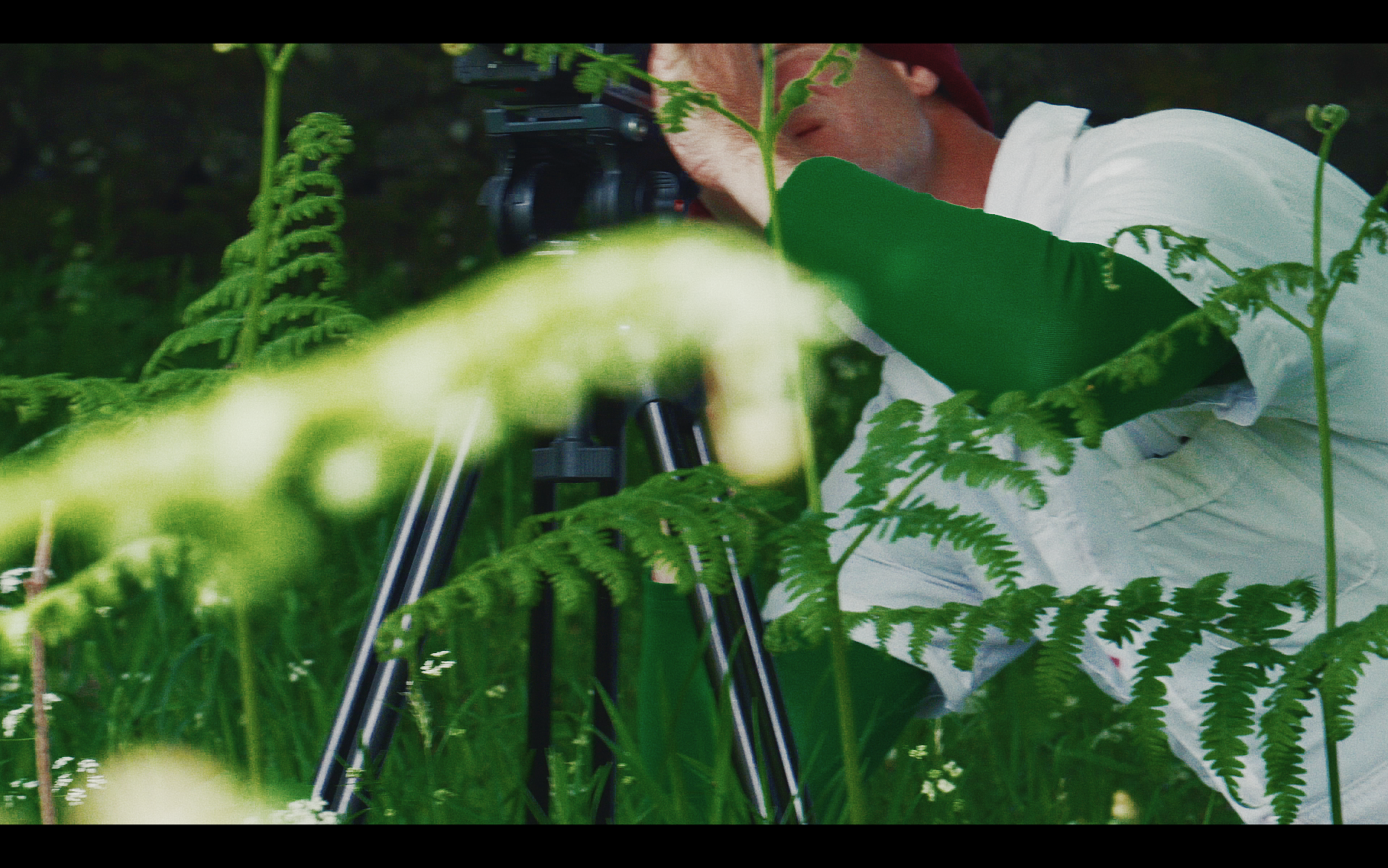 Screen Shot 2020-01-28 at 7.17.51 PM.PNG