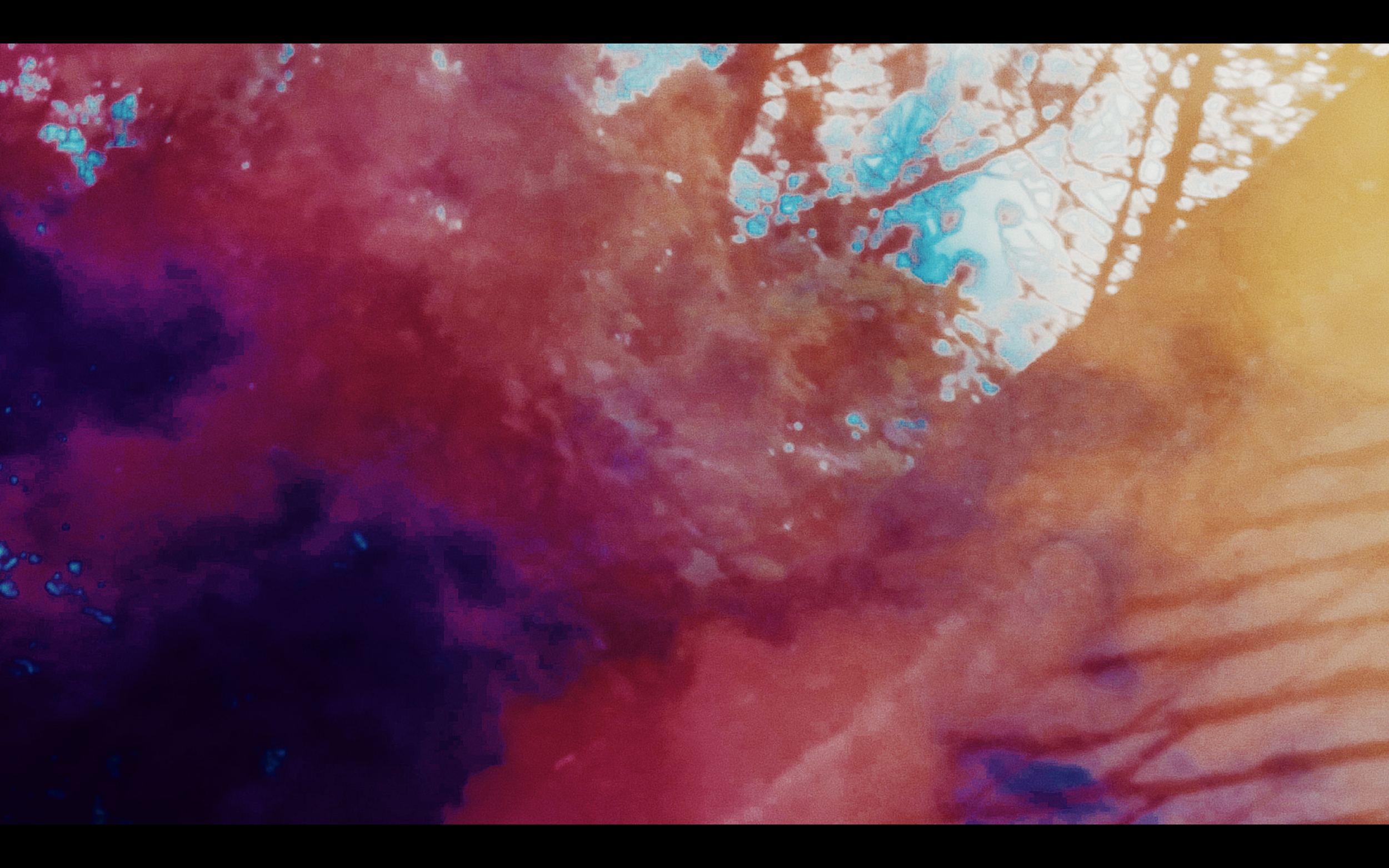 Screen Shot 2020-01-28 at 7.18.14 PM.PNG