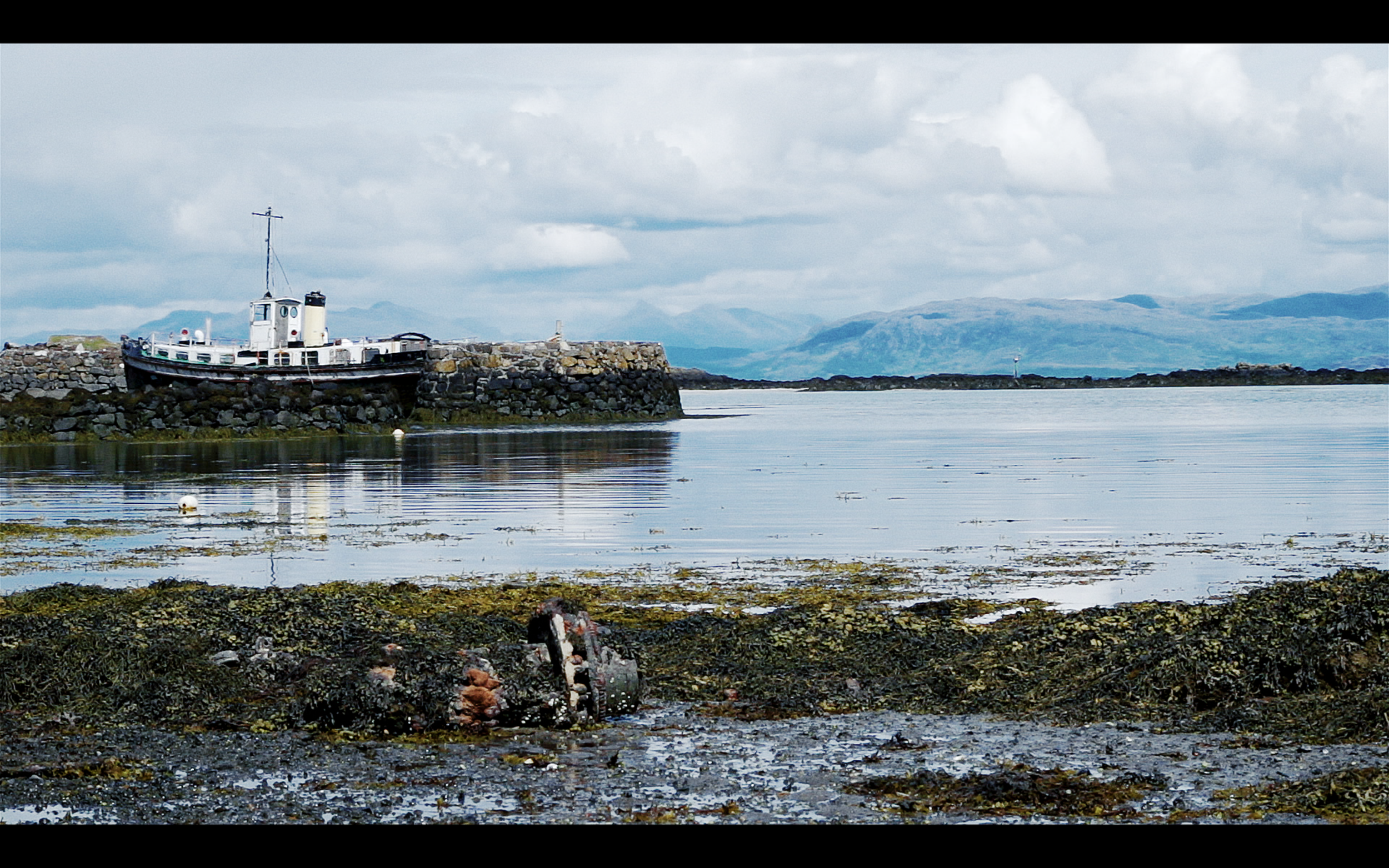 Screen Shot 2020-01-28 at 7.19.36 PM.PNG