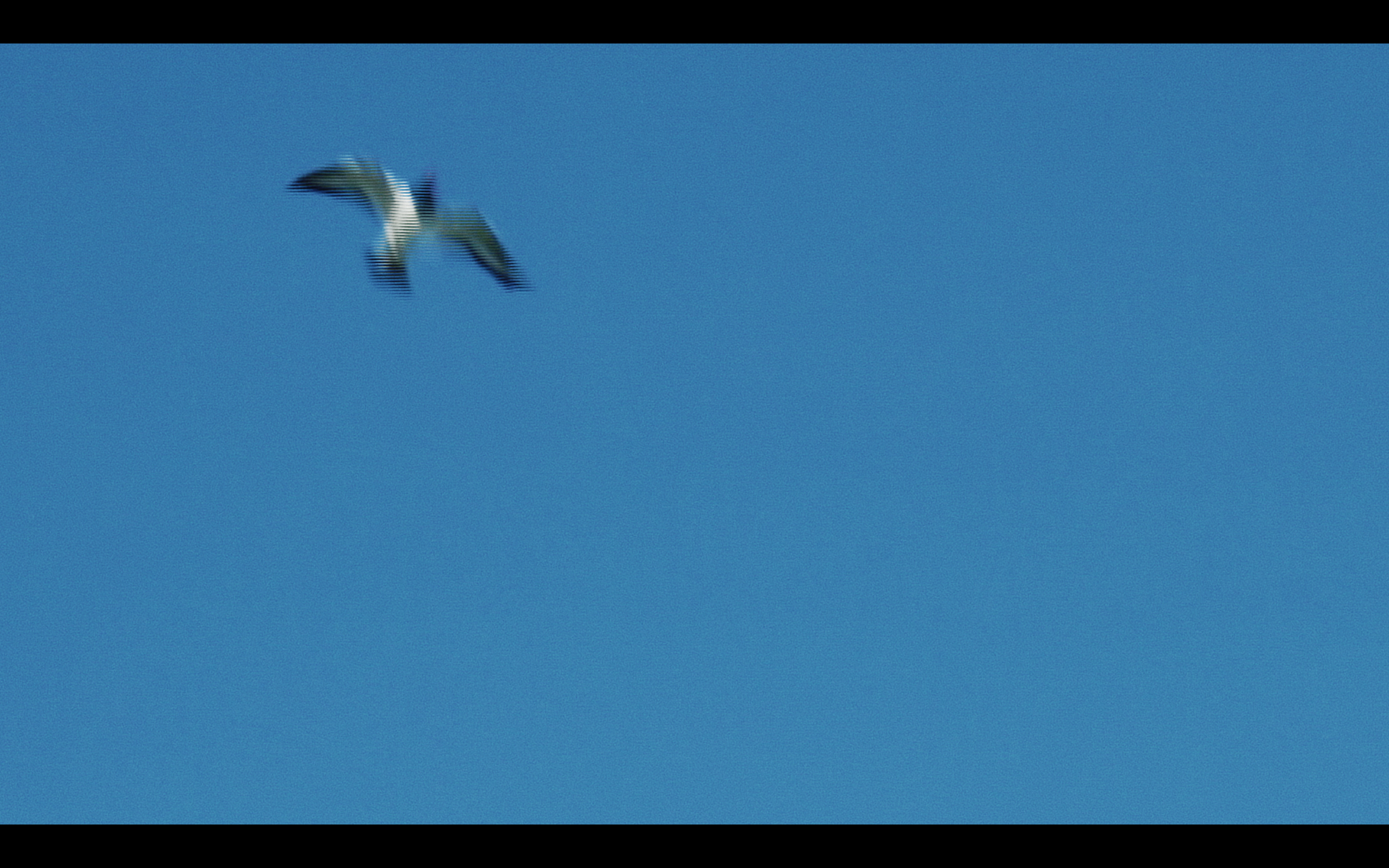 Screen Shot 2020-01-28 at 7.20.09 PM.PNG