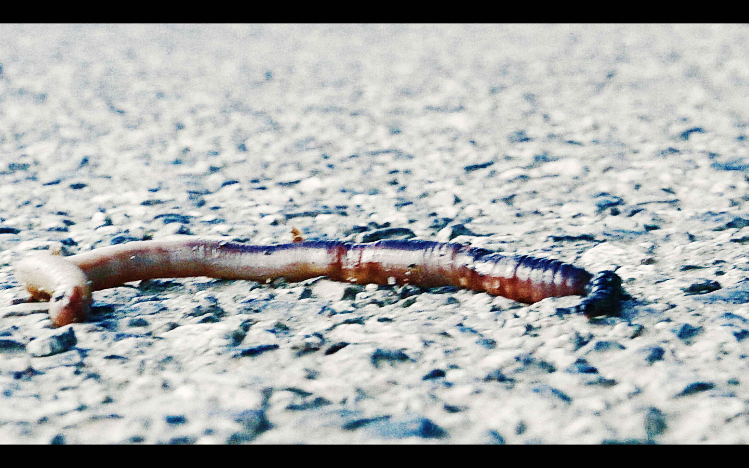 Screen Shot 2020-01-28 at 7.20.19 PM.PNG