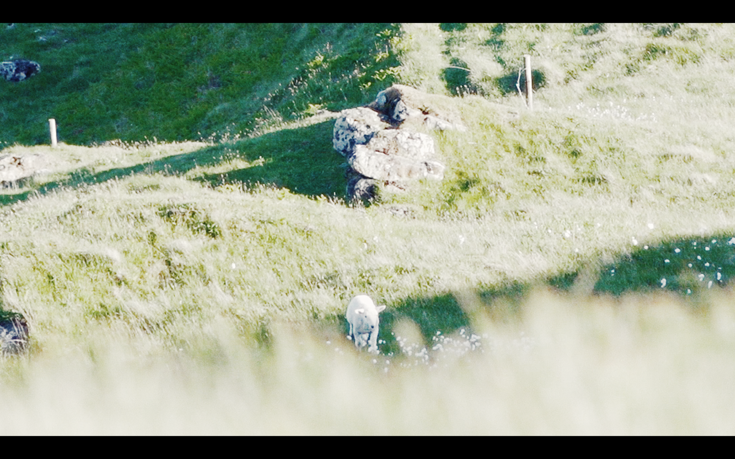 Screen Shot 2020-01-28 at 7.20.32 PM.PNG