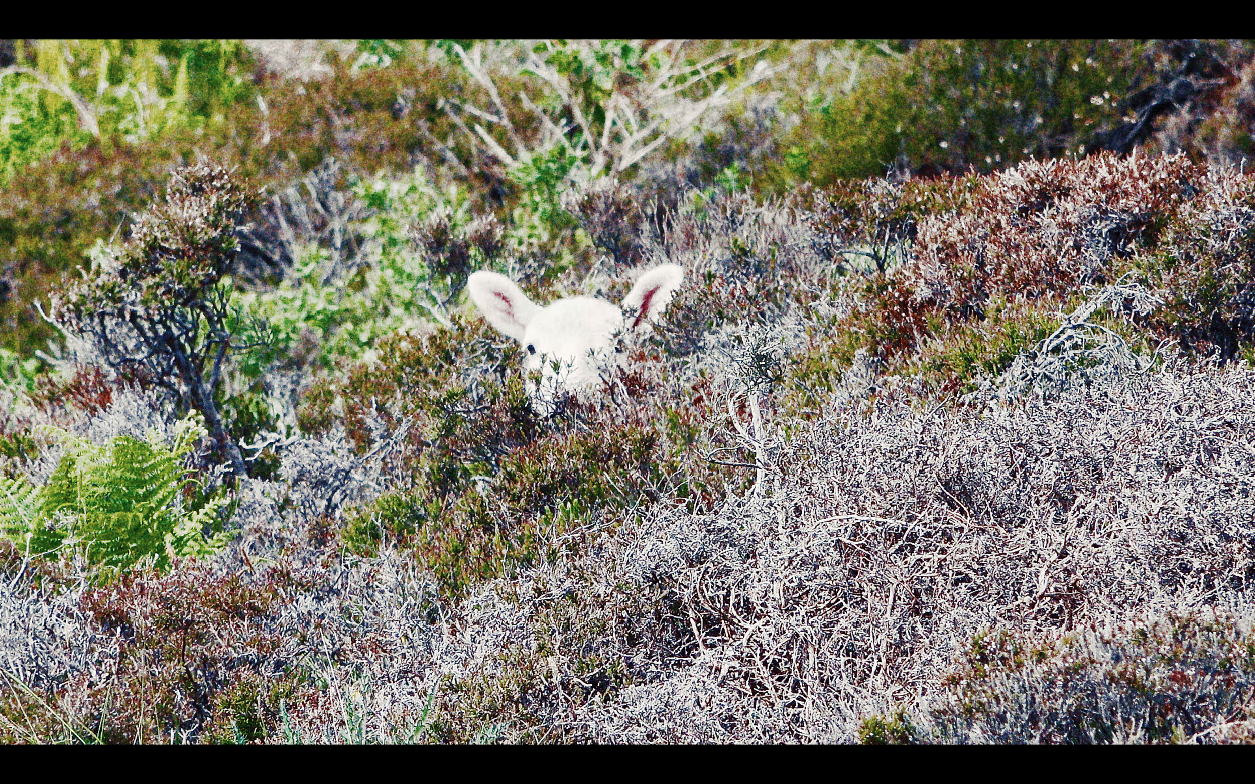 Screen Shot 2020-01-28 at 7.21.10 PM.PNG