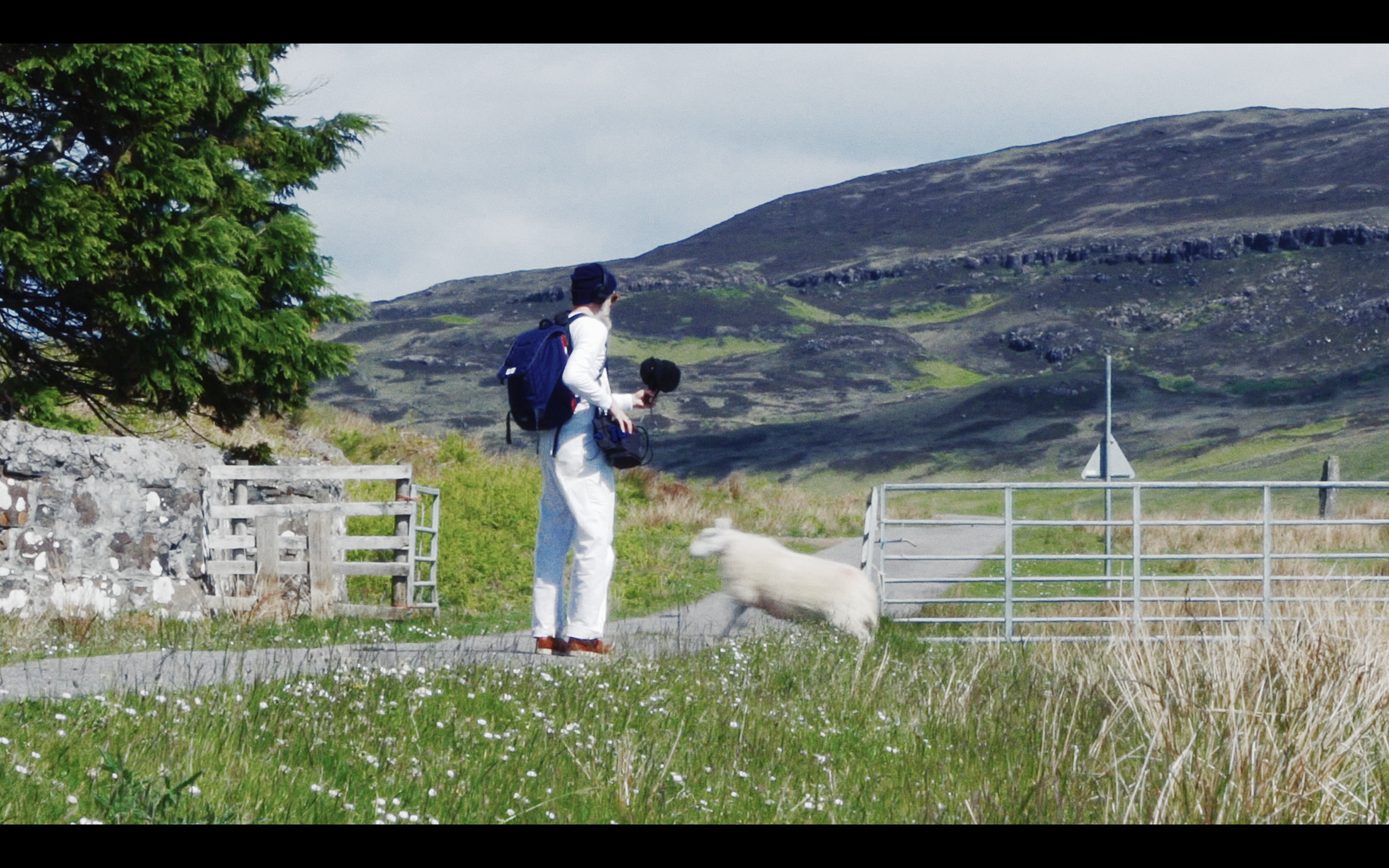 Screen Shot 2020-01-28 at 7.21.50 PM.PNG