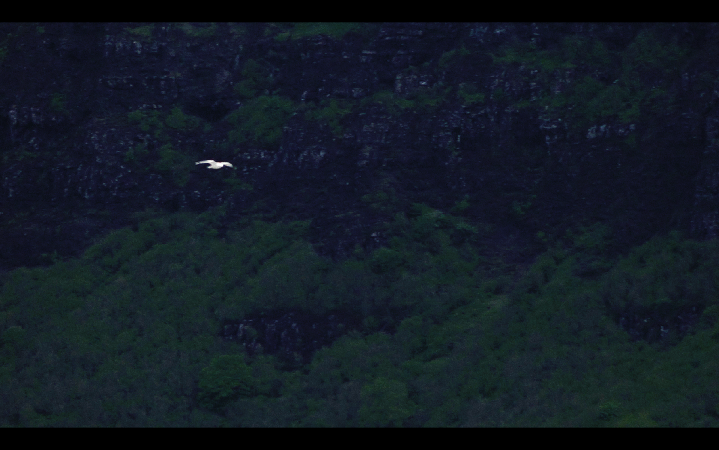 Screen Shot 2020-01-28 at 7.24.21 PM.PNG