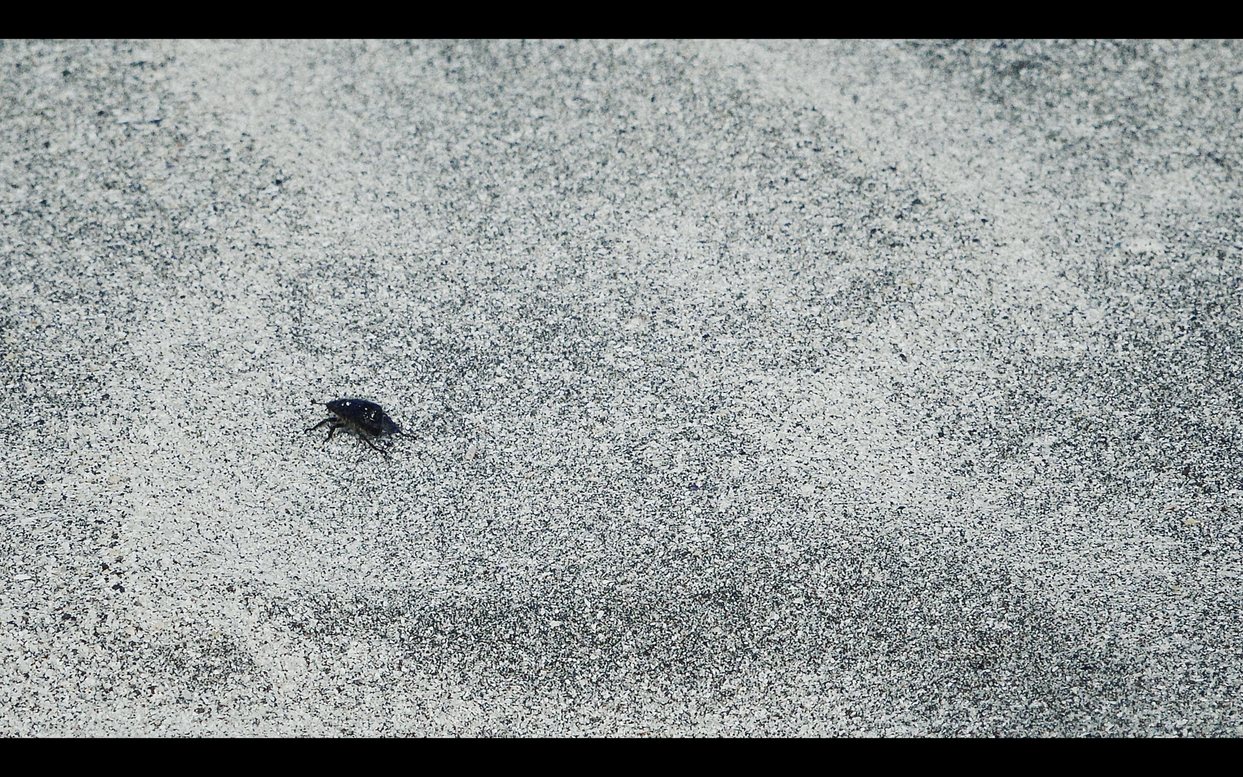 Screen Shot 2020-01-28 at 7.24.52 PM.PNG