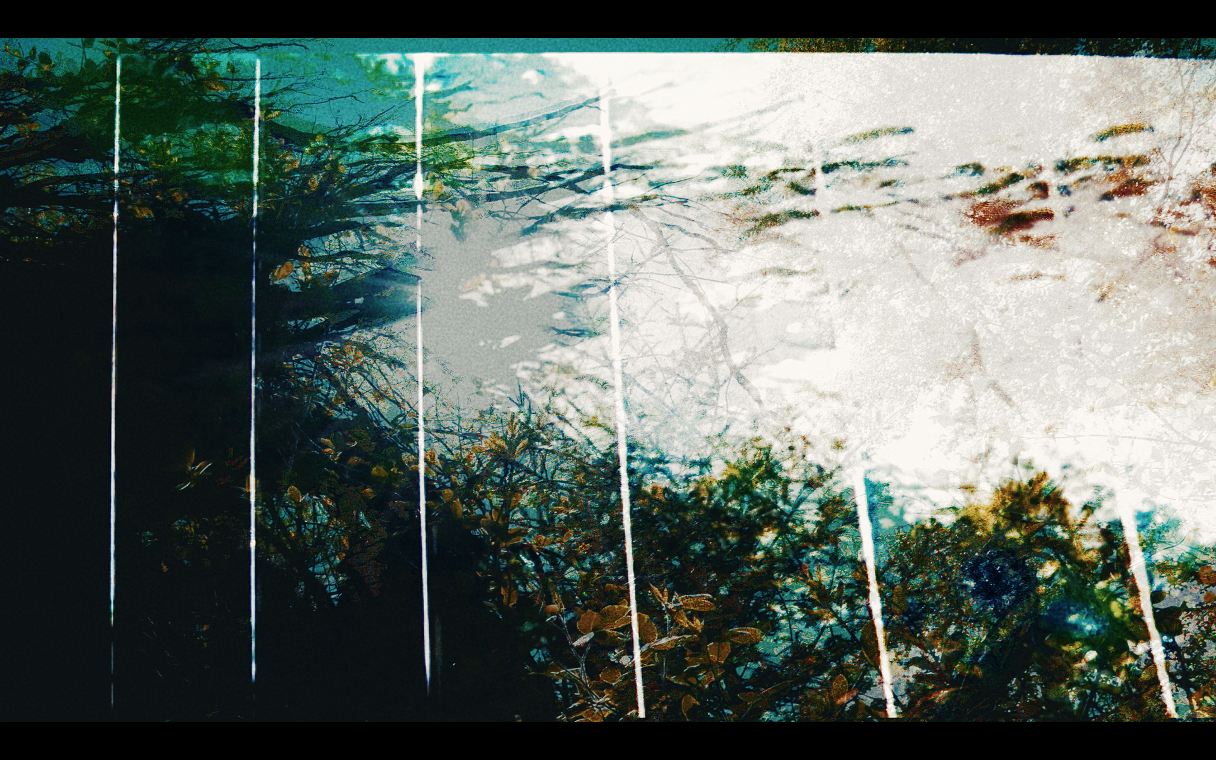 Screen Shot 2020-01-28 at 7.25.28 PM.PNG