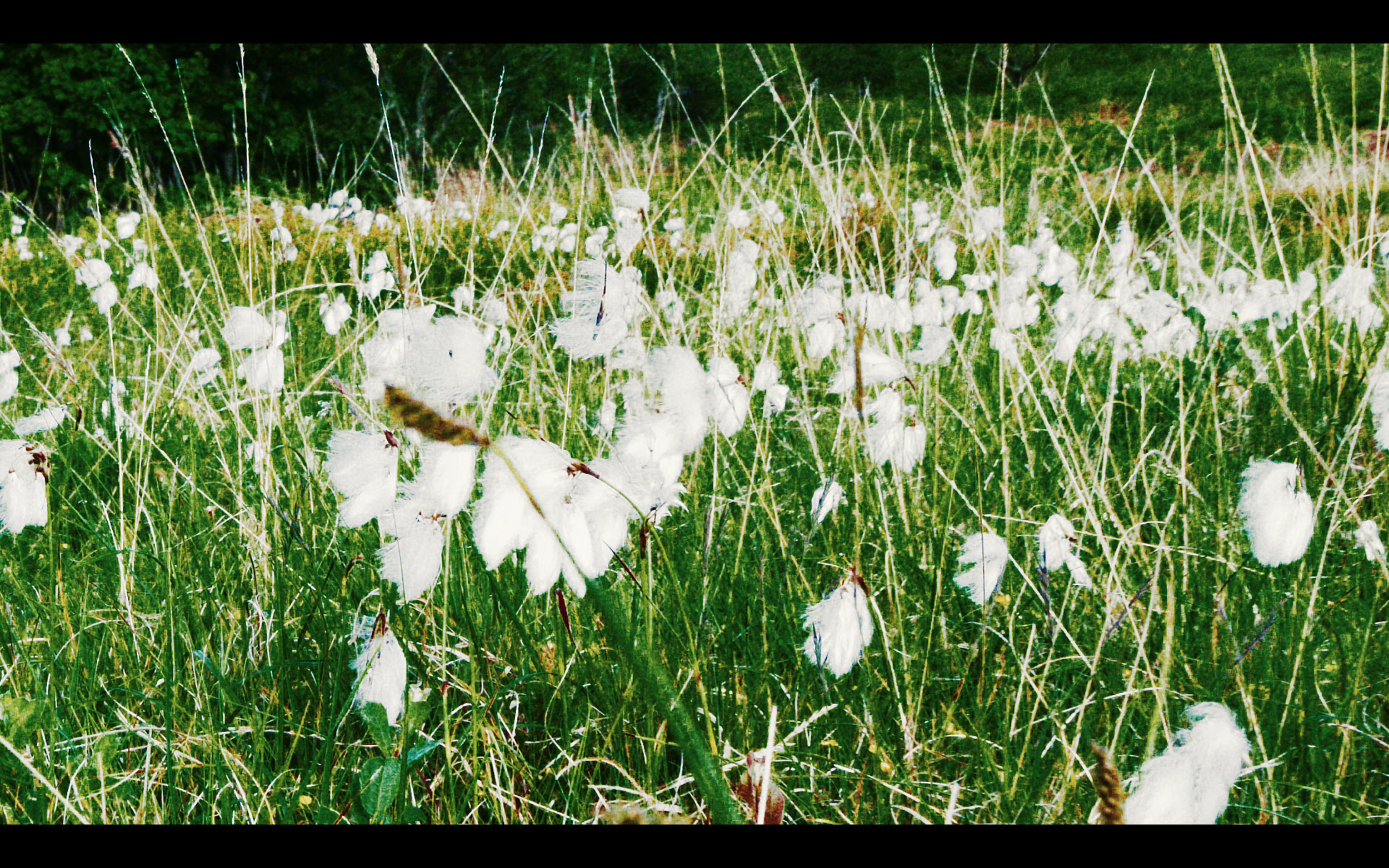 Screen Shot 2020-01-28 at 7.26.20 PM.PNG