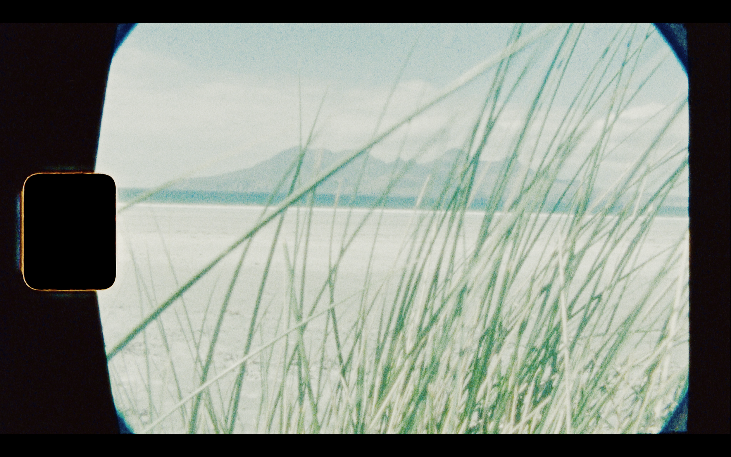 Screen Shot 2020-01-28 at 7.26.59 PM.PNG