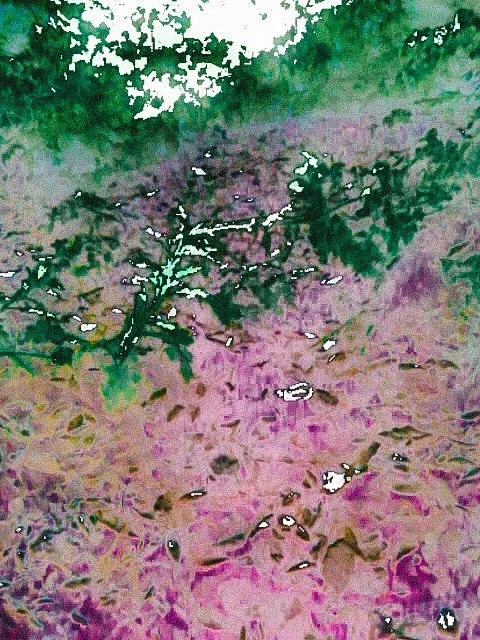 HNI_0033-2.jpg