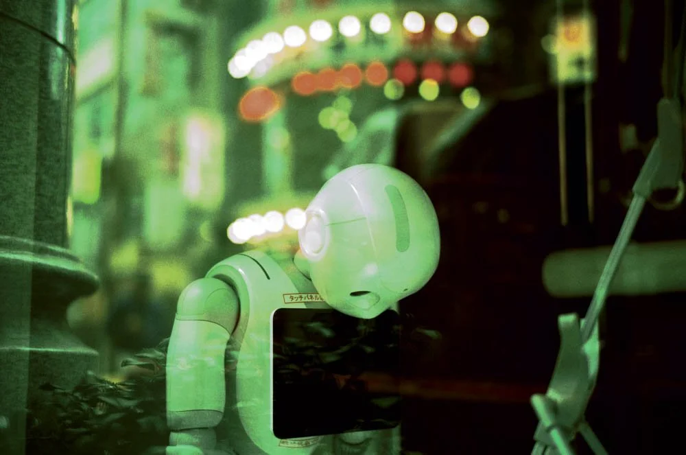 The Lost Woods-46.JPG