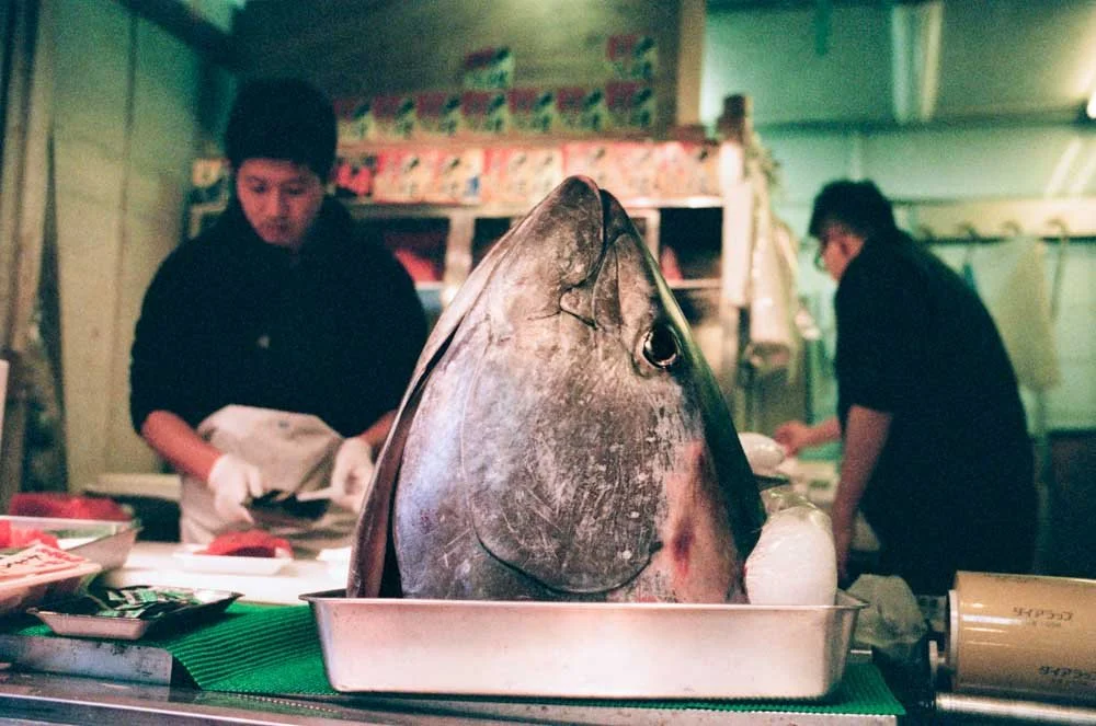 The Lost Woods-29.JPG