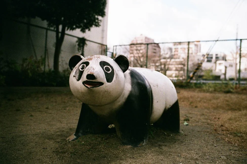 The Lost Woods-27.JPG