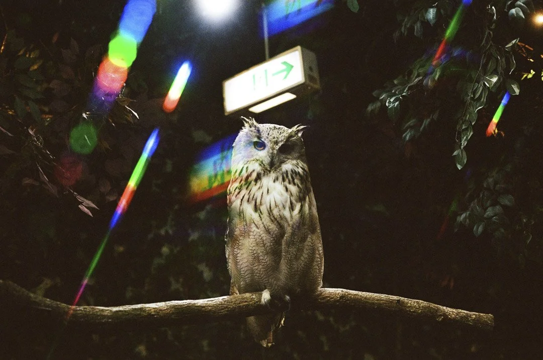 Alexander Falk-000417260012.JPG