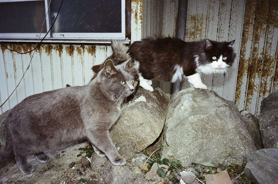 Alexander Falk-000417250026.JPG