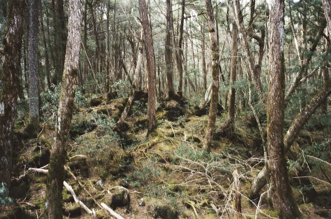 Alexander Falk-000417200016.JPG