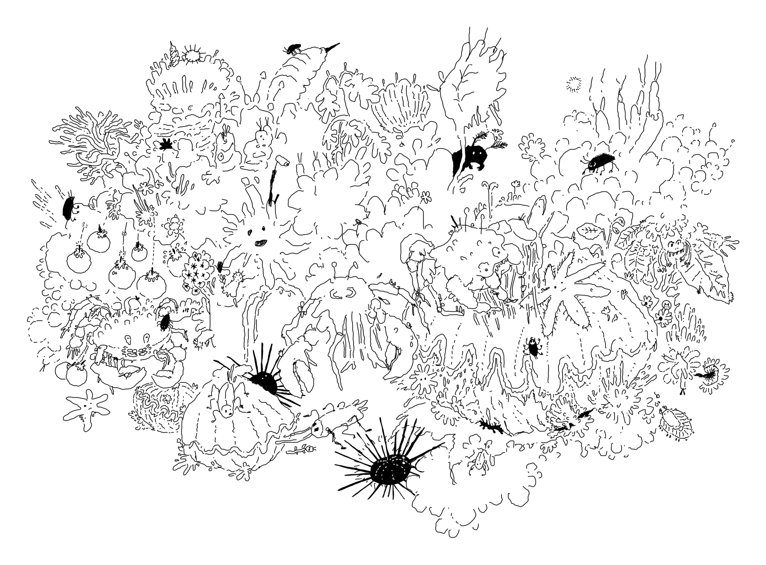 Rituals of the Decapod.png