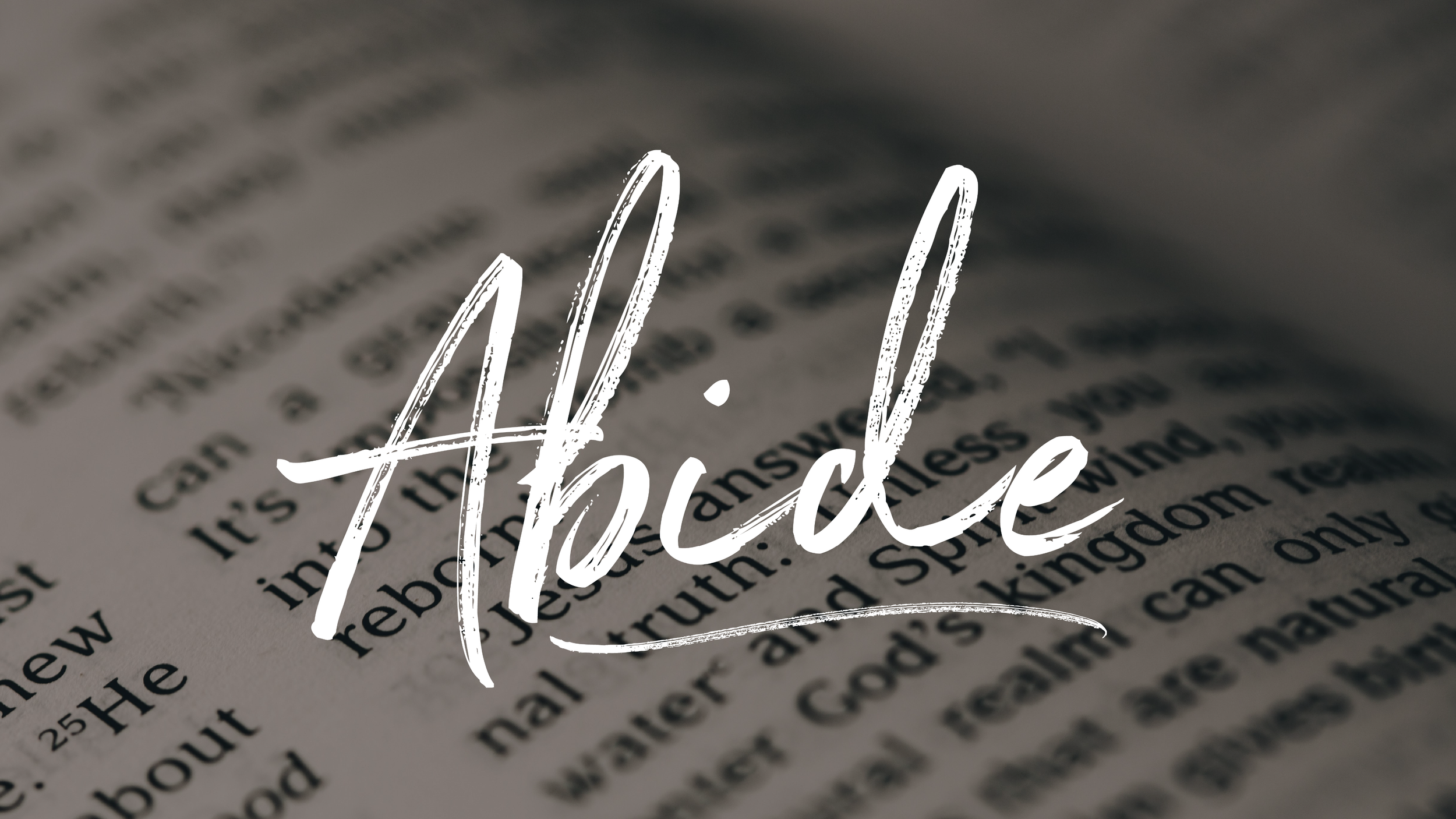 2026 ABIDE Bible Reading Program