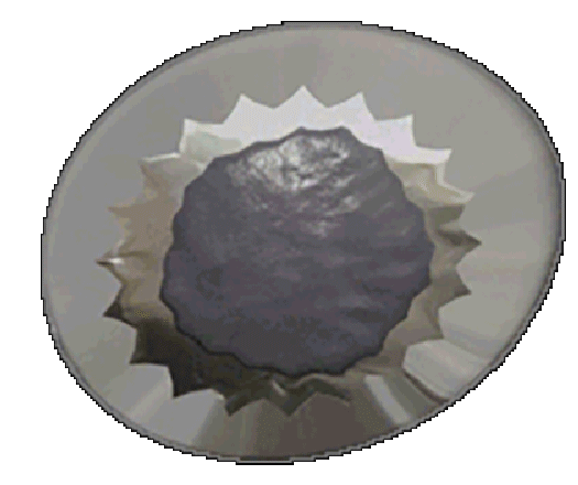 Lavender Pancake 2016