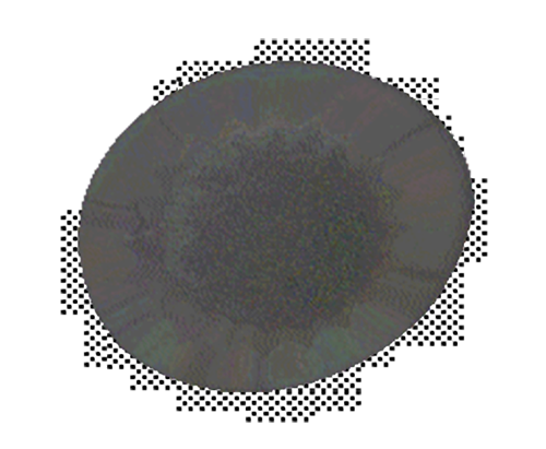 static1.squarespace.png