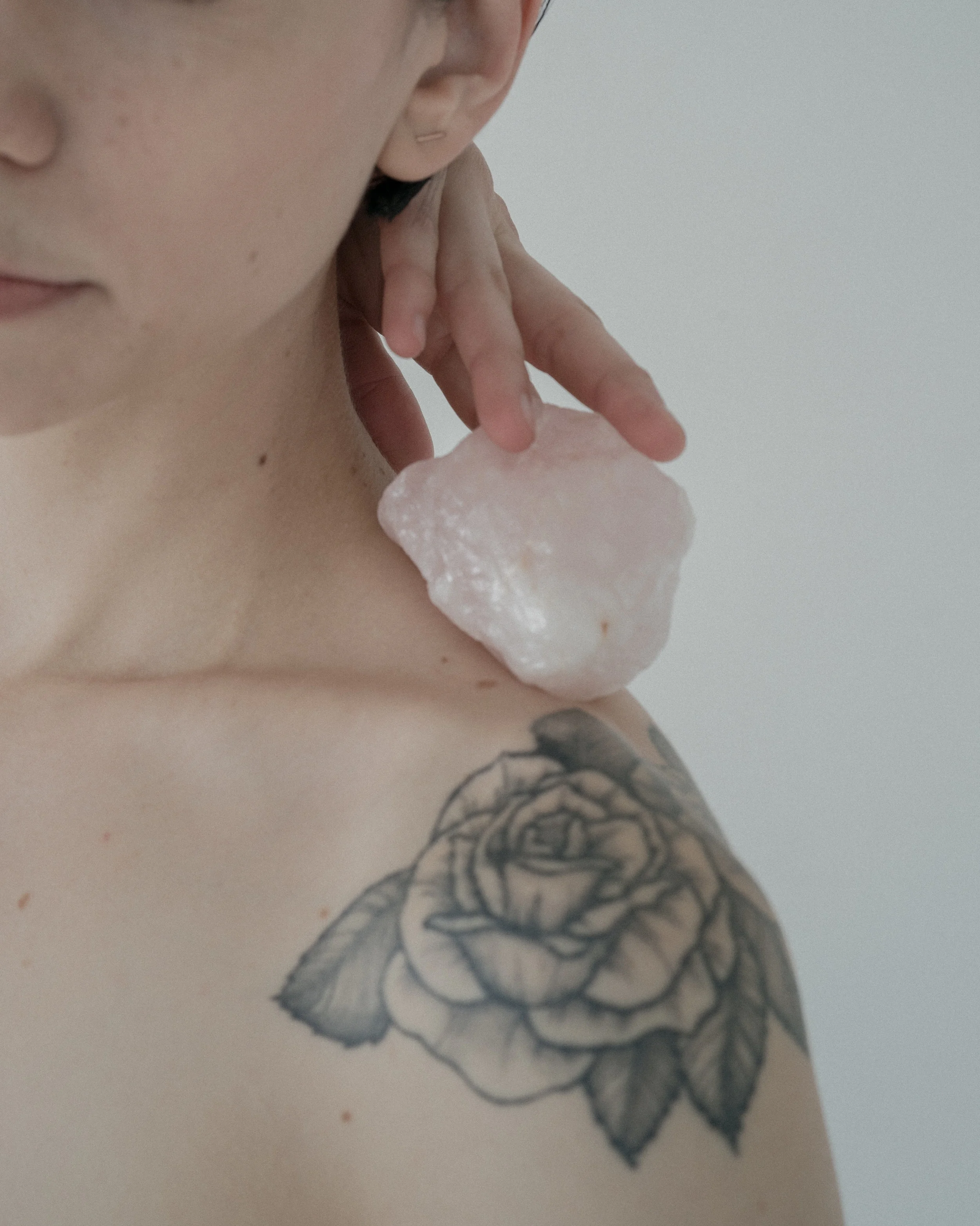gftoastaugustlavender-1-3.jpg