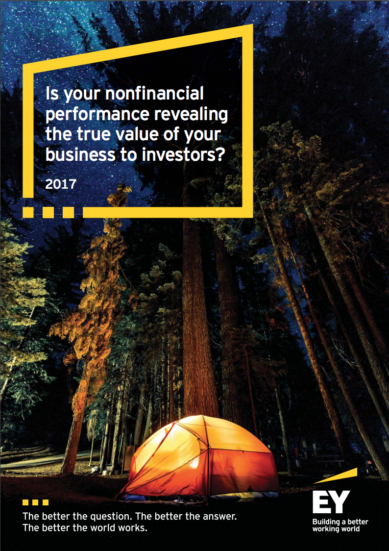 EY 2017 THE VALUE OF NON FINANCIAL PERFORMANCE TO INVESTORS