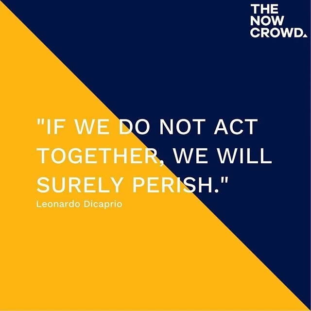 Thanks @leonardodicaprio , we totally agree! 👏
⠀⠀⠀⠀⠀⠀⠀⠀⠀
The Now Crowd is a group of highly motivated like-minded young people, working on issues that matter to them. It enables people in the early stages of their careers to drive sustainability initiatives within their organisations and beyond.
⠀⠀⠀⠀⠀⠀⠀⠀⠀
Join our dynamic, action-based network today. LINK IN BIO.