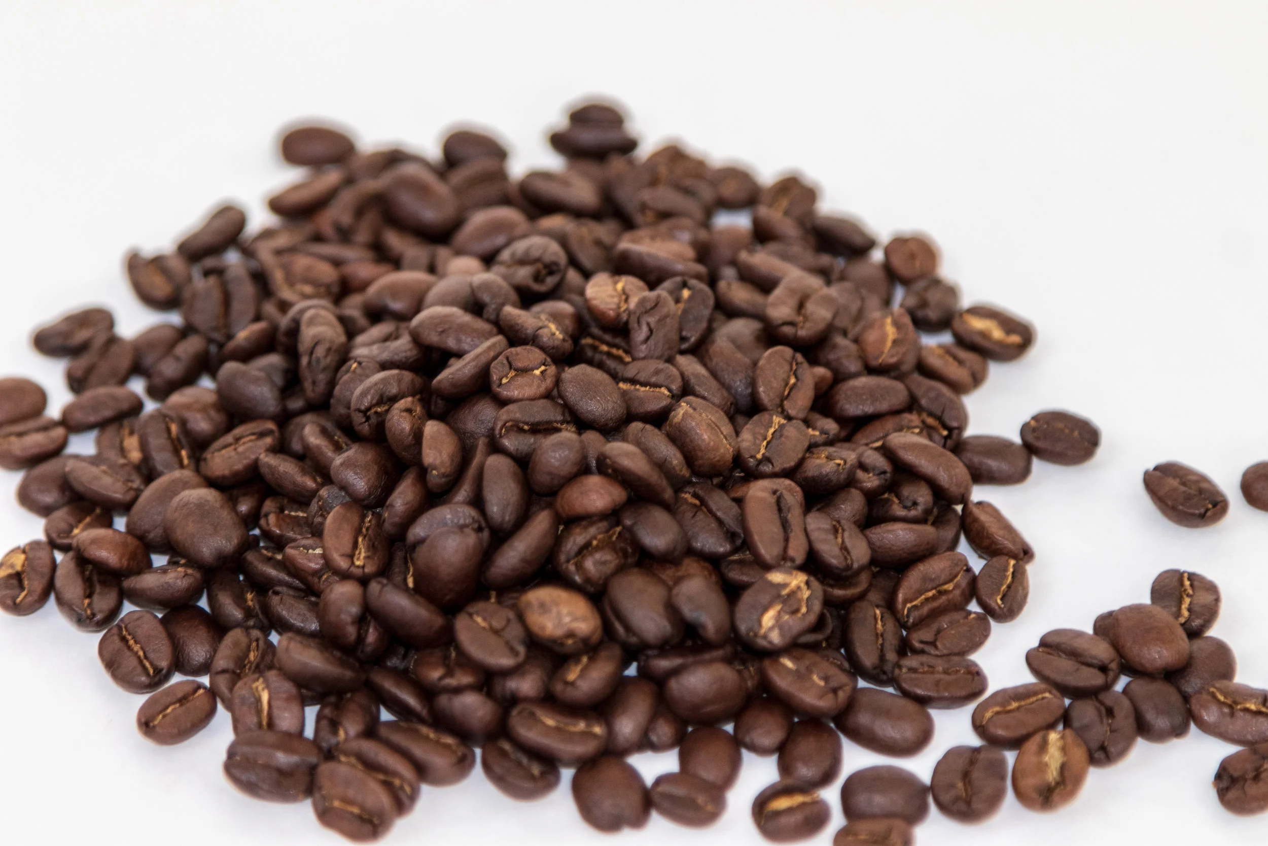 D9B5398A-CE00-40AB-9BEA-9C612C13F1CB